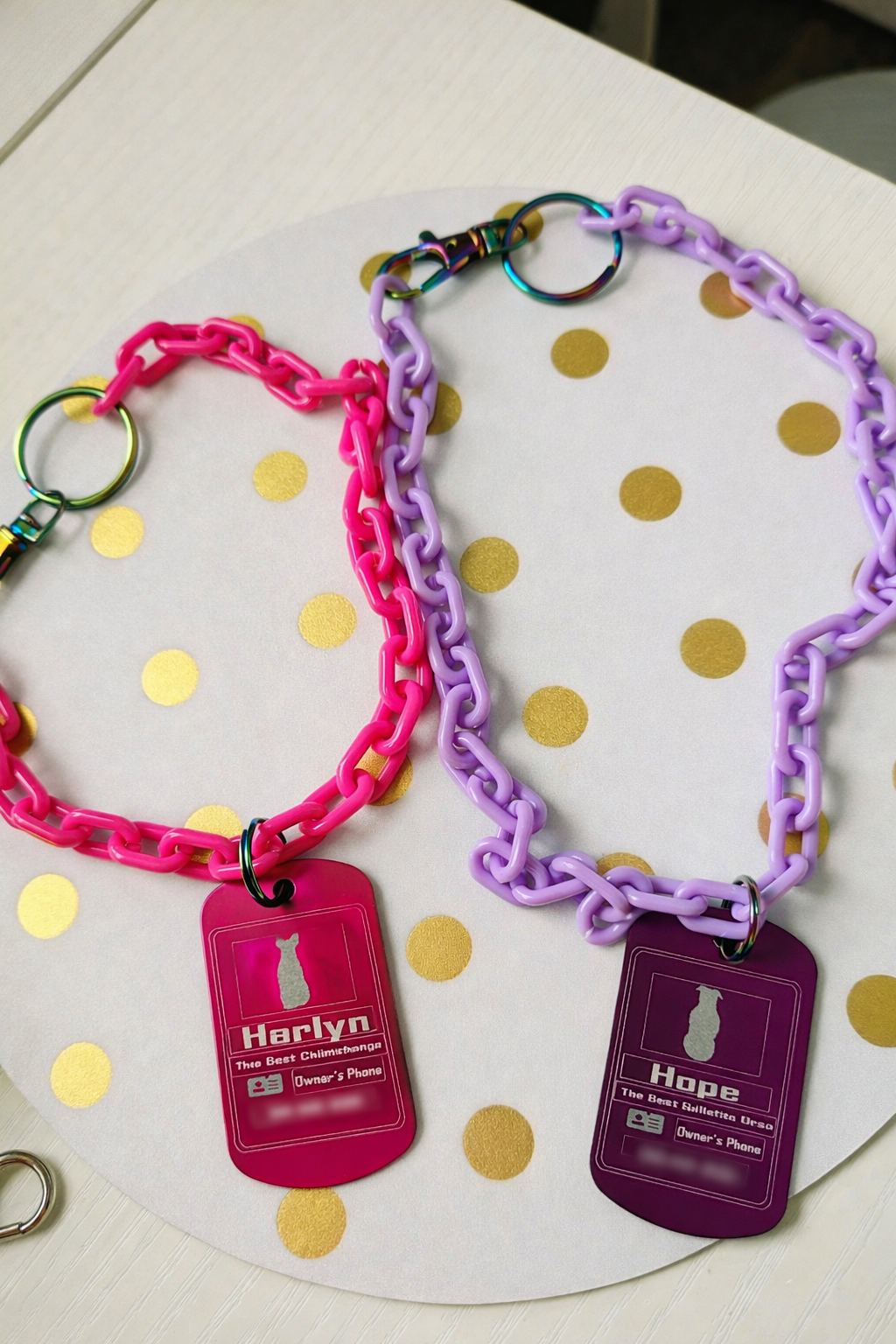 Official Engraved Pet ID Badge 🪪🐾 + Free Matching Collar Included 🎁