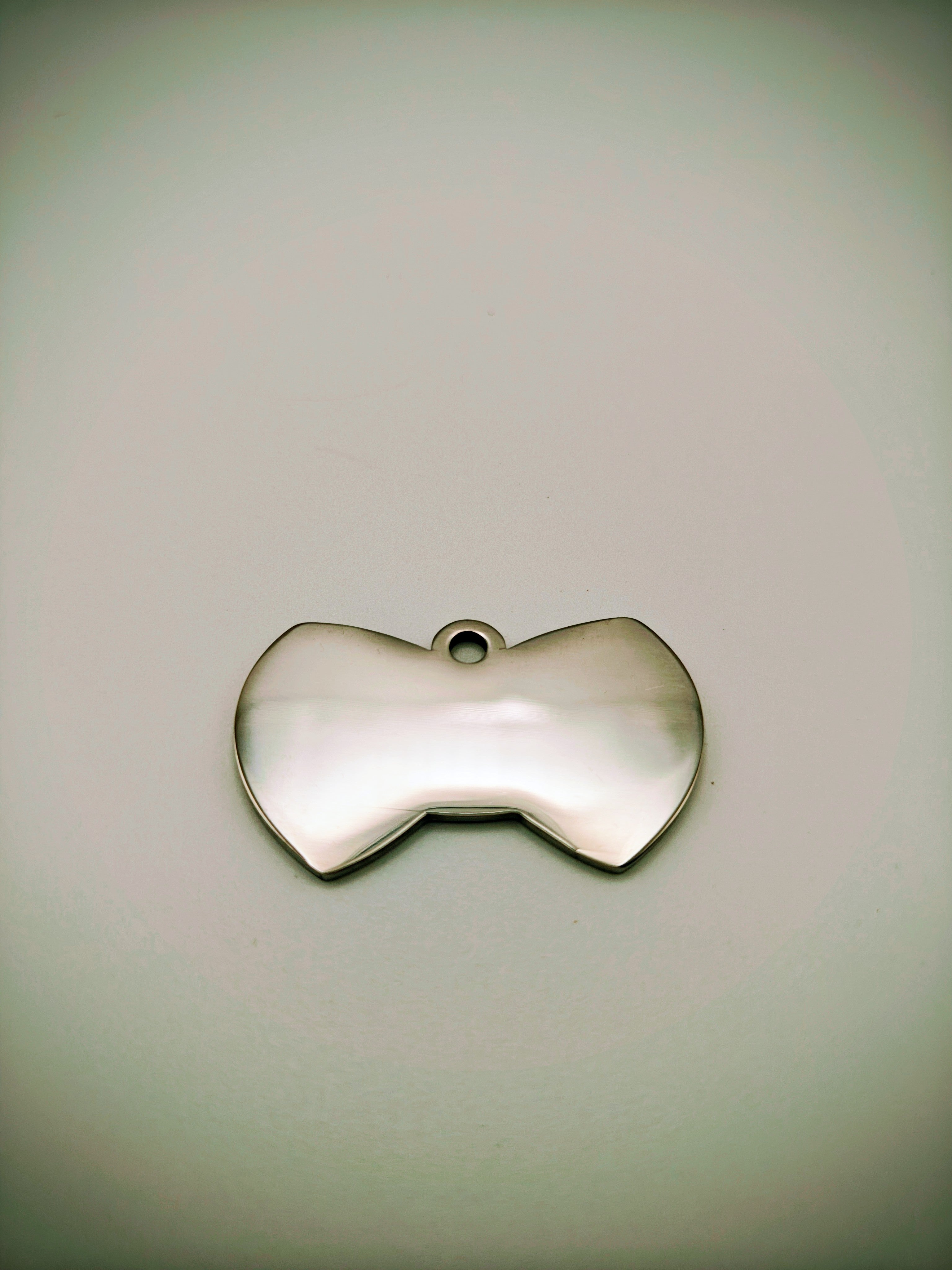 Custom Engraved Stainless Steel Dog Collar – Silver Chain and Tag