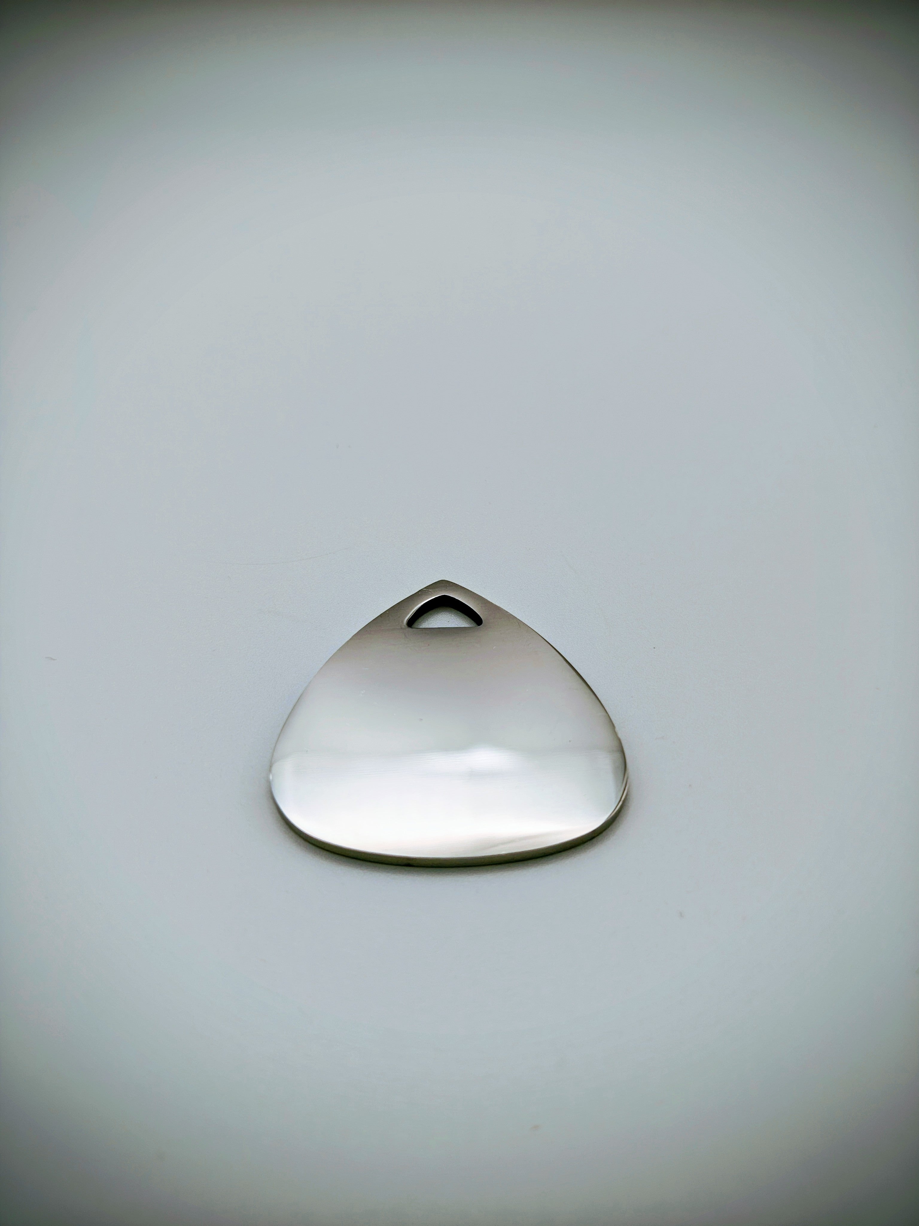 Custom Engraved Stainless Steel Dog Collar – Silver Chain and Tag