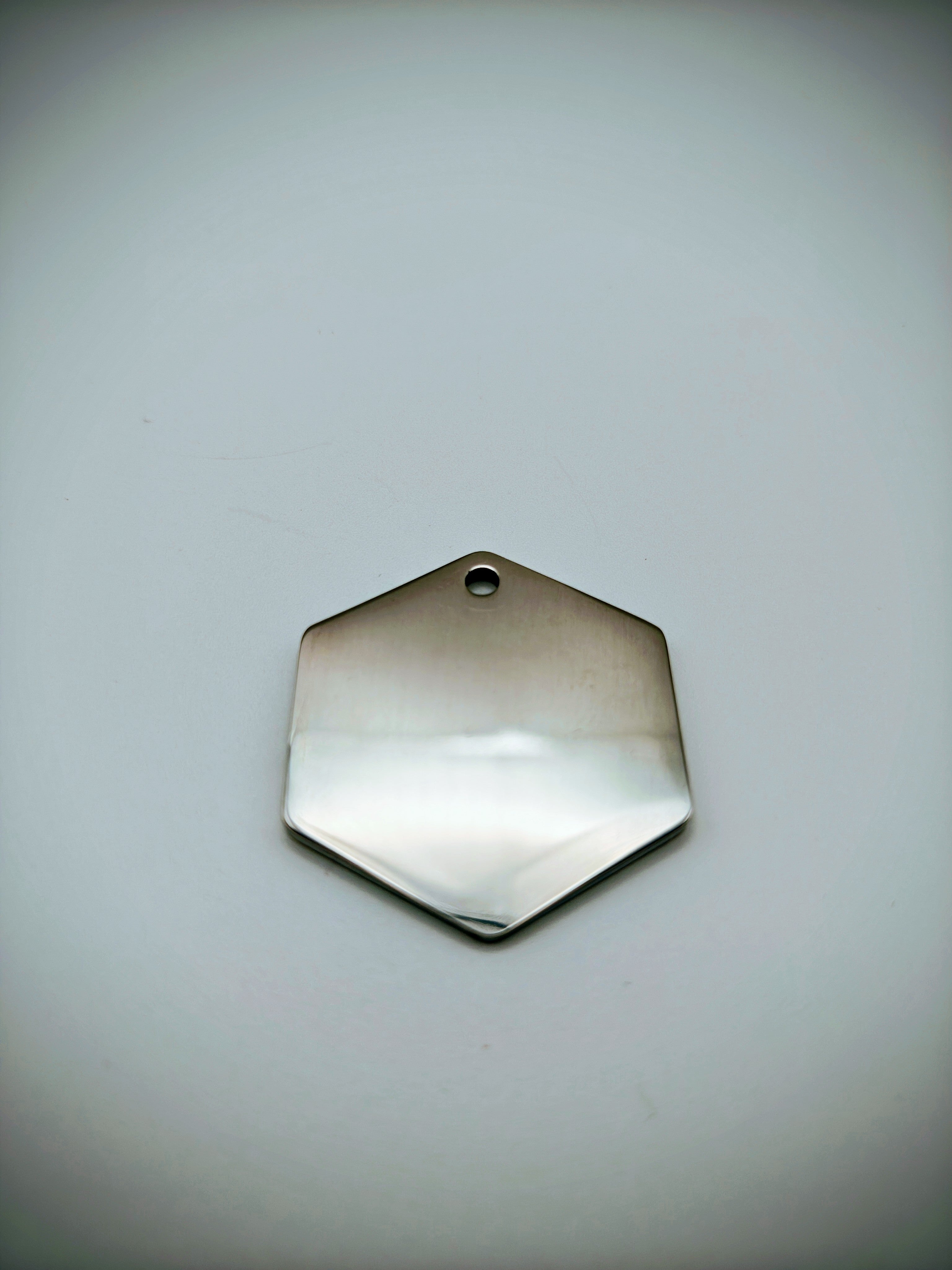 Custom Engraved Stainless Steel Dog Collar – Silver Chain and Tag