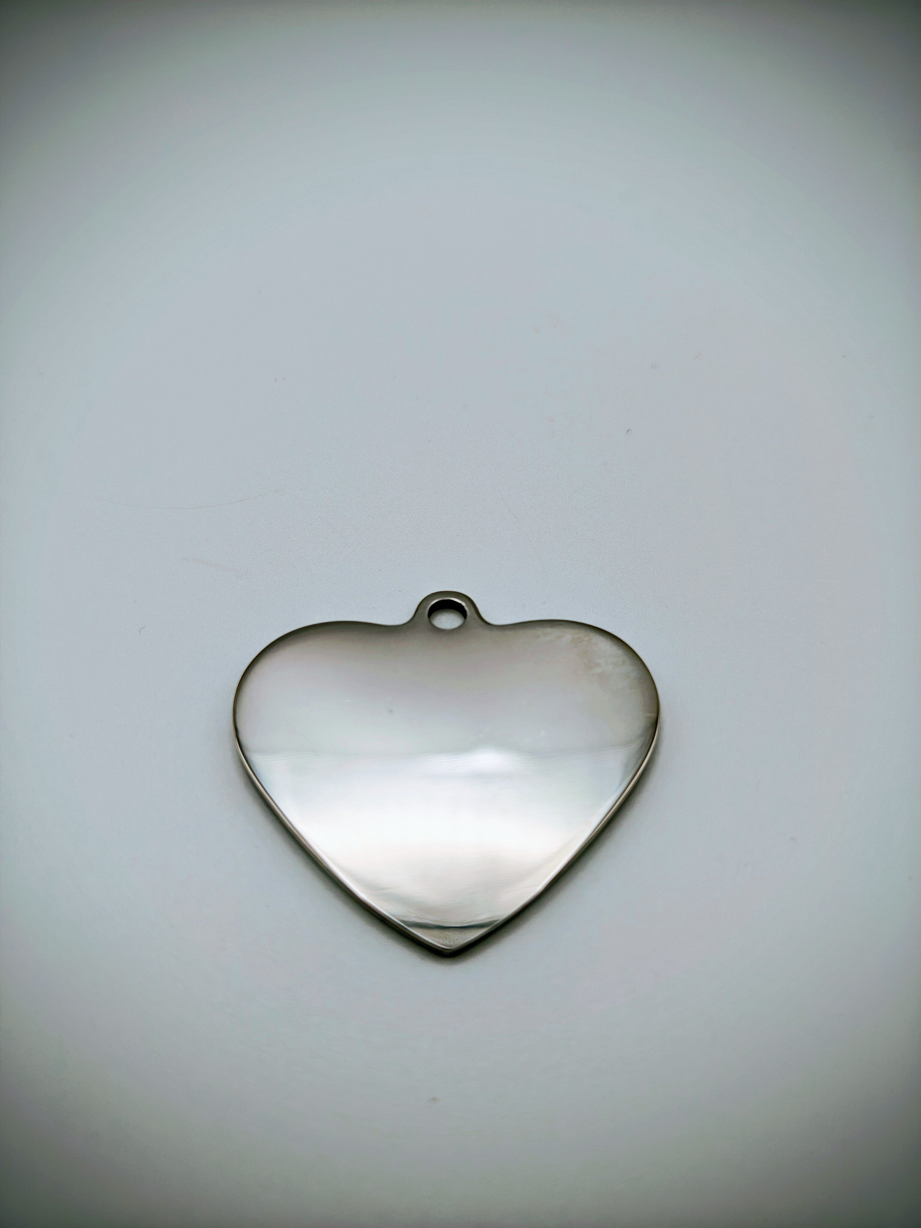 Custom Engraved Stainless Steel Dog Collar – Silver Chain and Tag