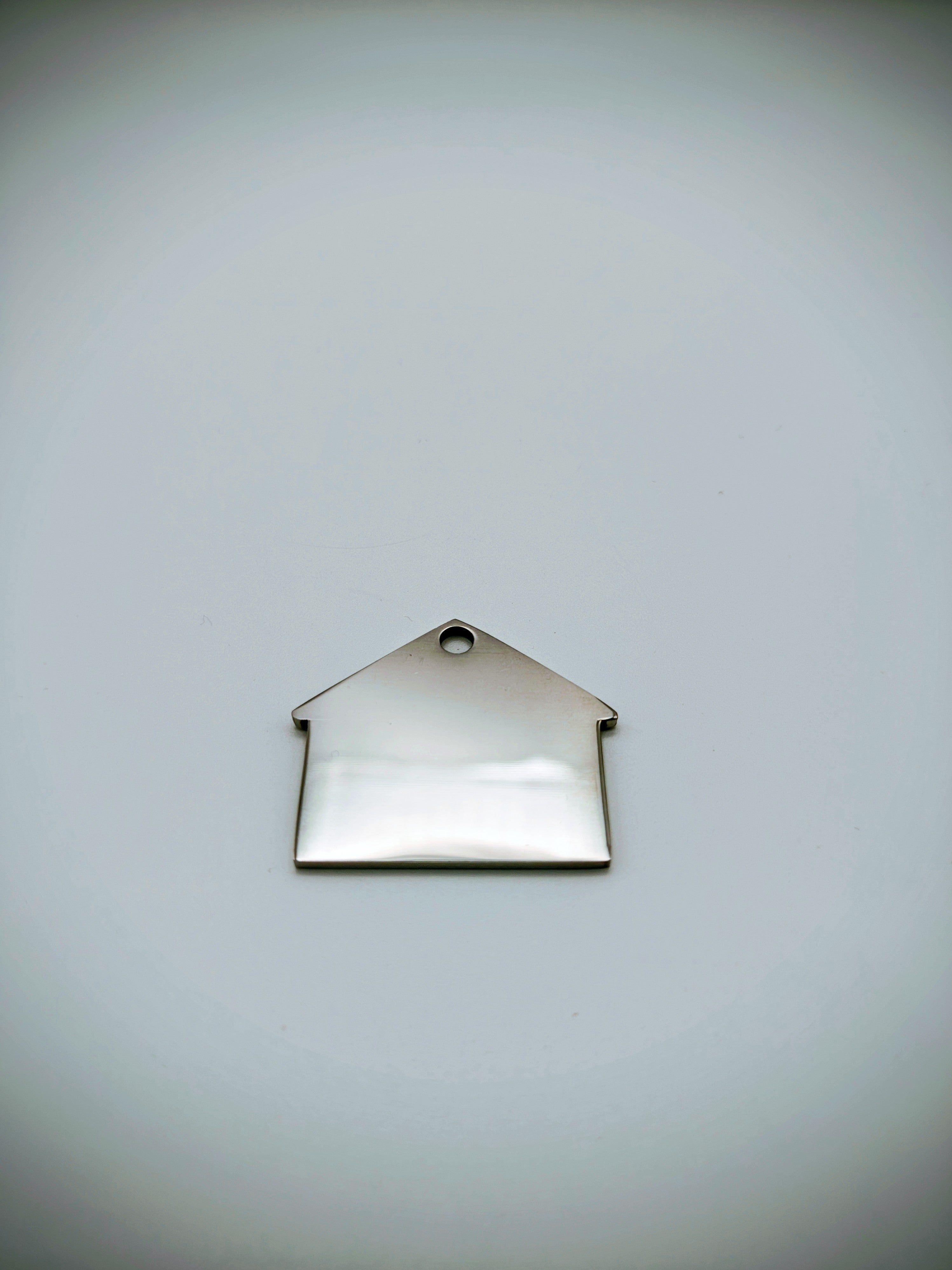 Custom Engraved Stainless Steel Dog Collar – Silver Chain and Tag