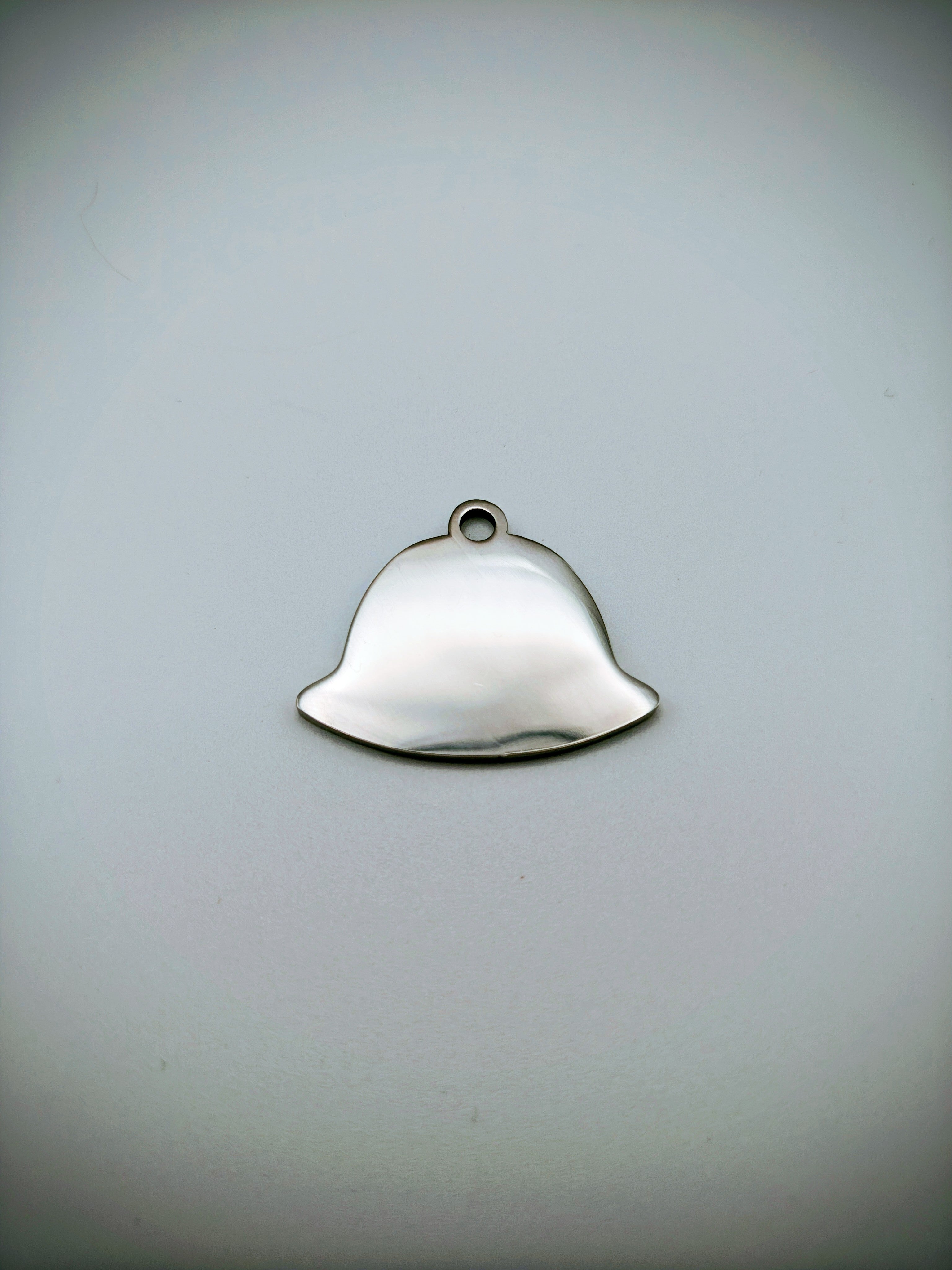 Custom Engraved Stainless Steel Dog Collar – Silver Chain and Tag