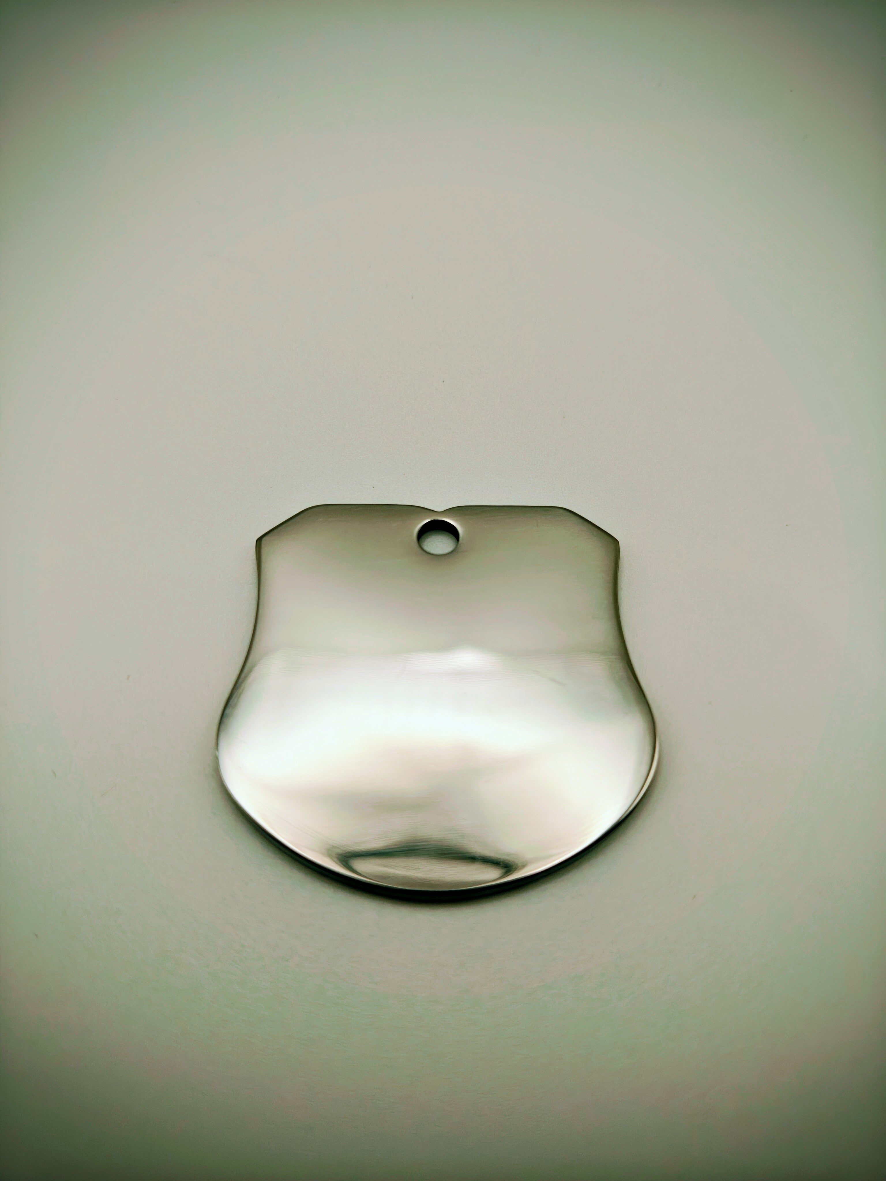 Custom Engraved Stainless Steel Dog Collar – Silver Chain and Tag