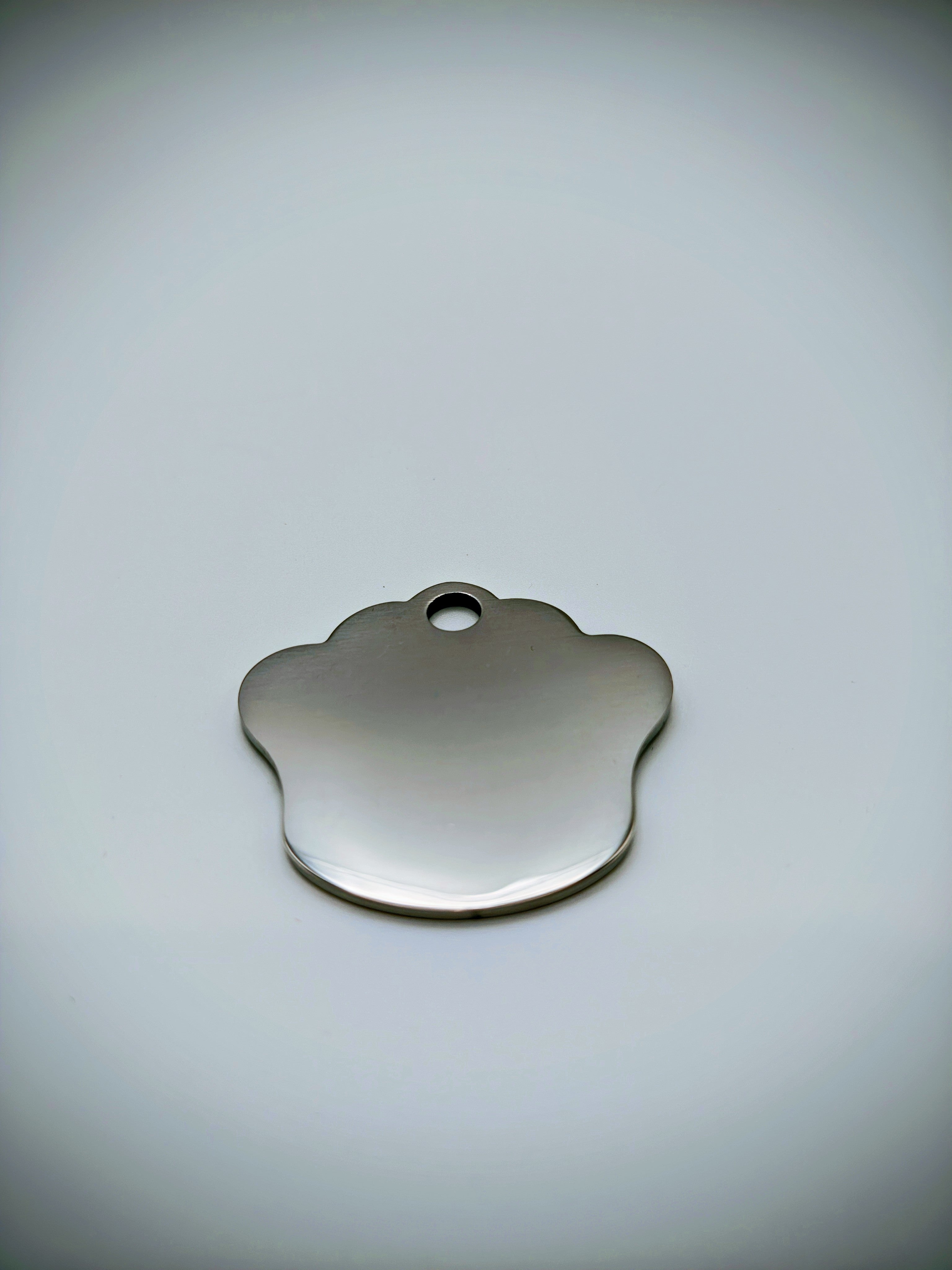 Custom Engraved Stainless Steel Dog Collar – Silver Chain and Tag