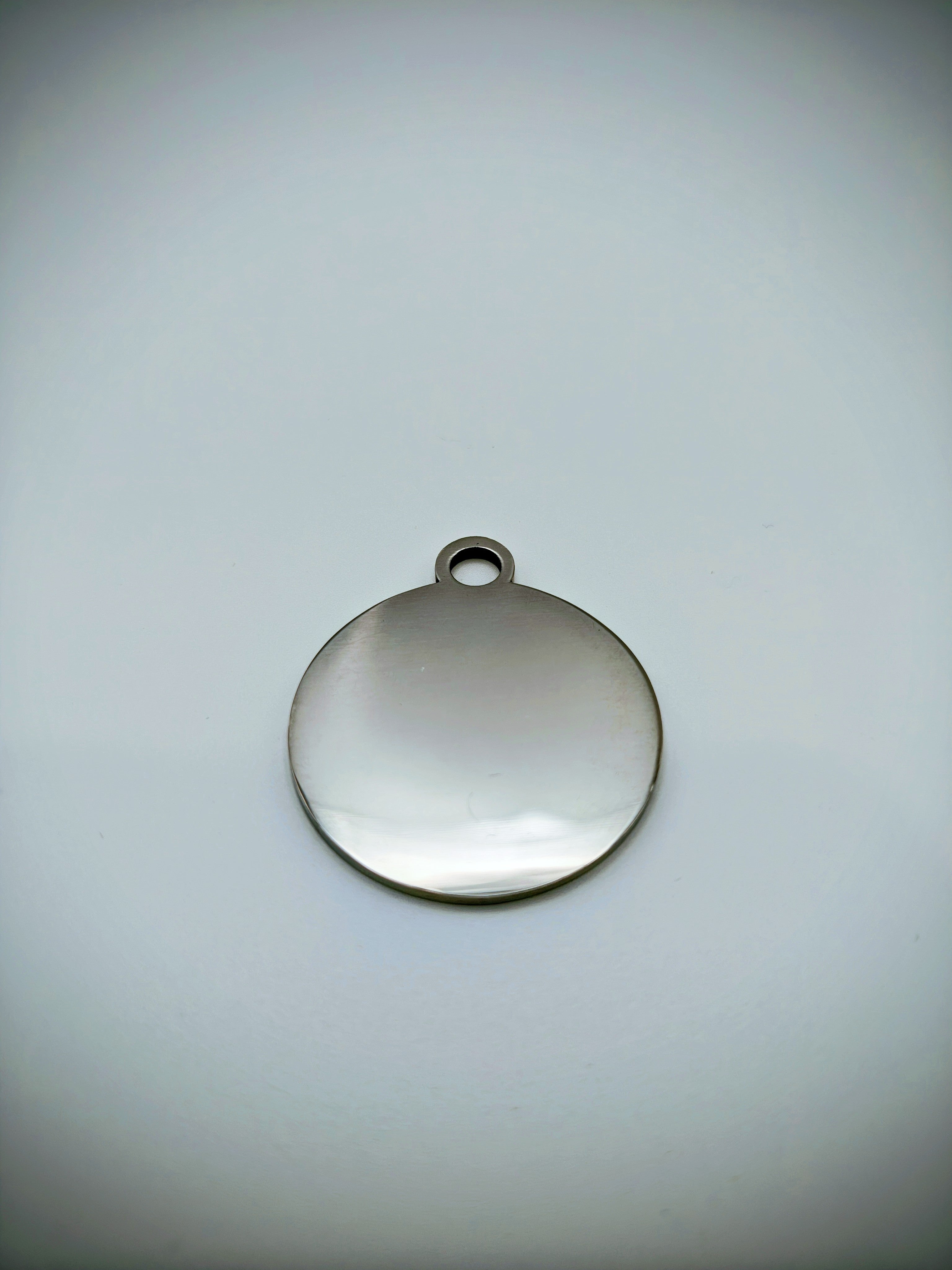 Custom Engraved Stainless Steel Dog Collar – Silver Chain and Tag