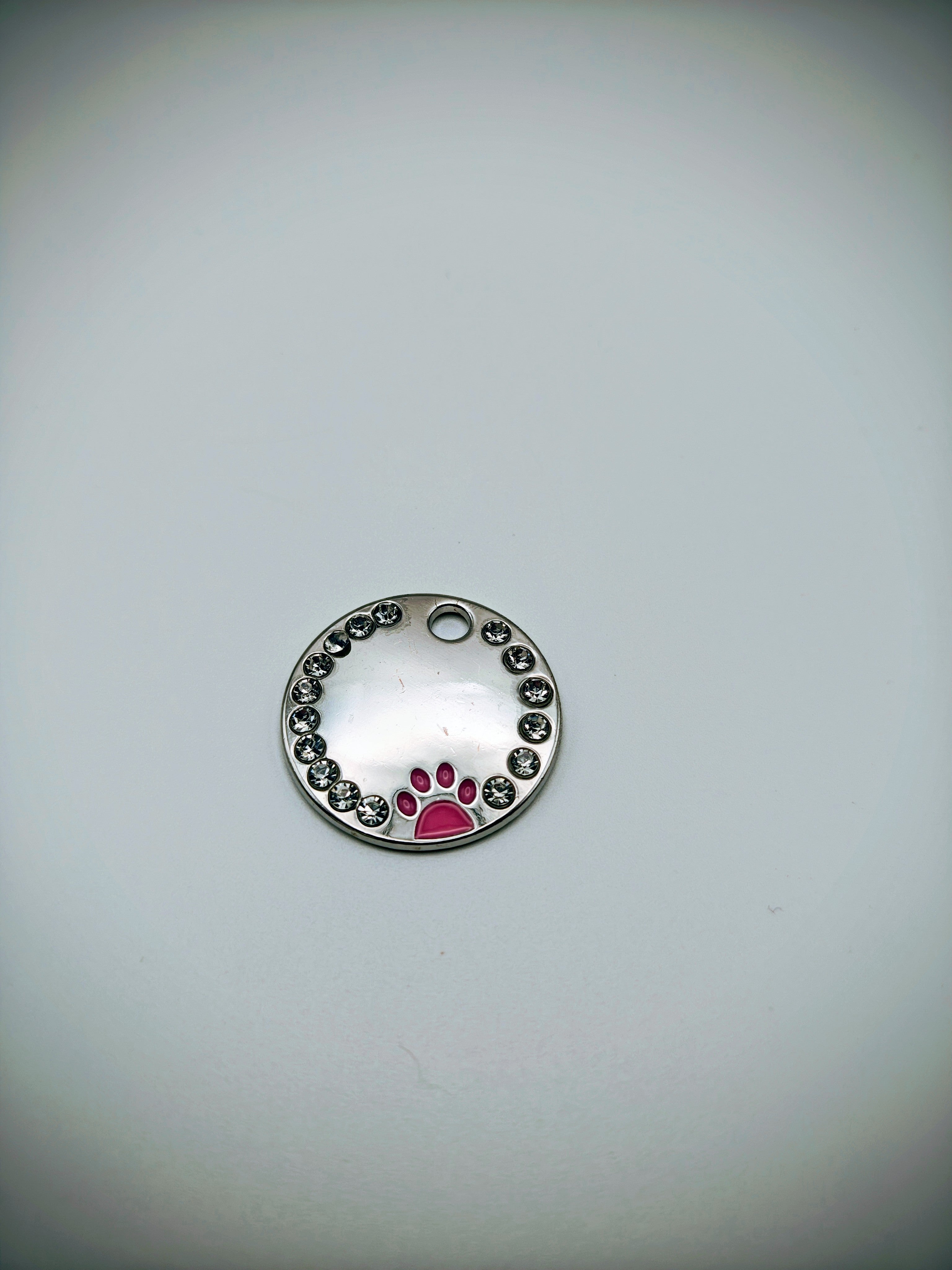 Custom Engraved Stainless Steel Dog Collar – Silver Chain and Tag