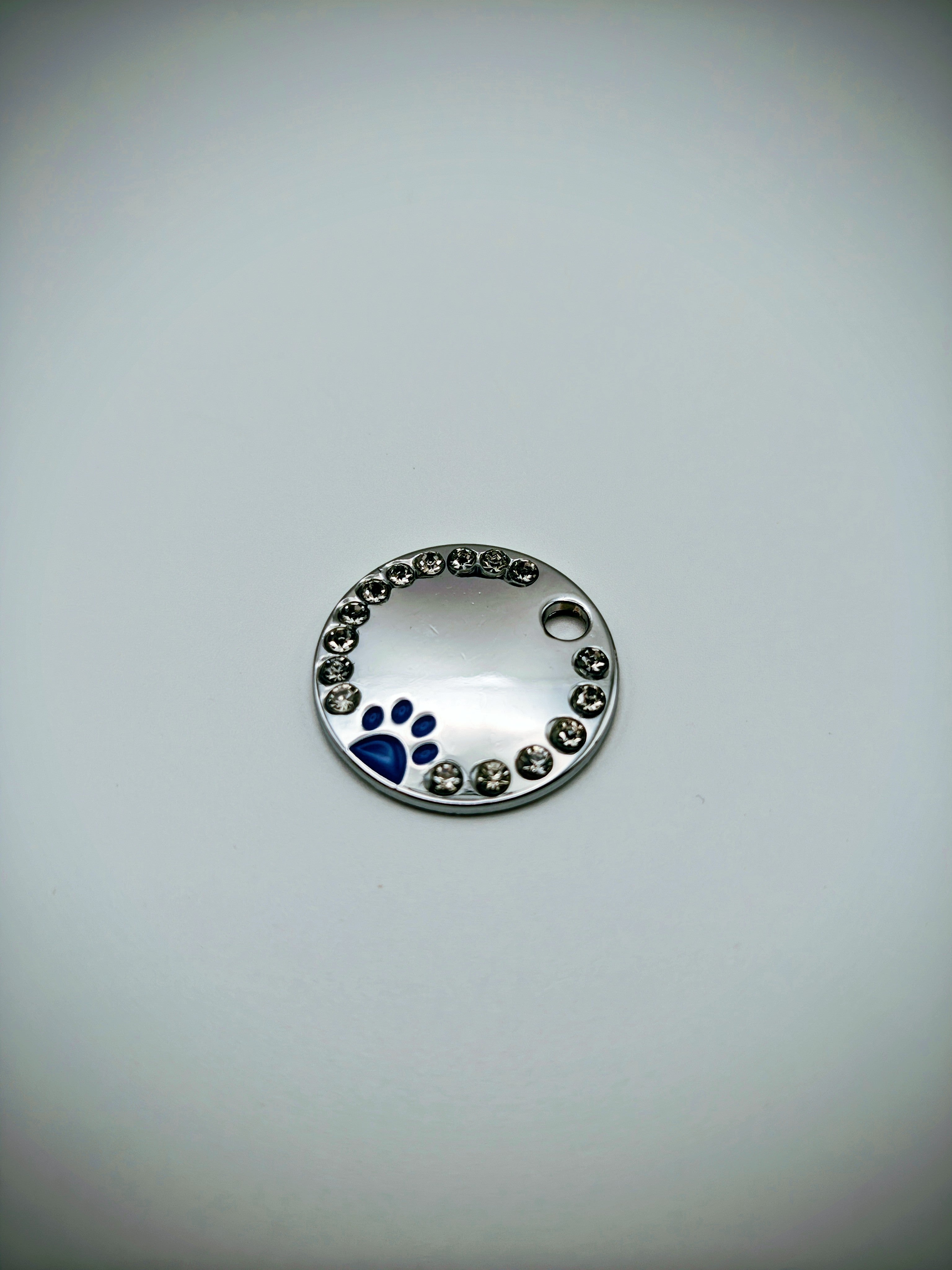 Custom Engraved Stainless Steel Dog Collar – Silver Chain and Tag