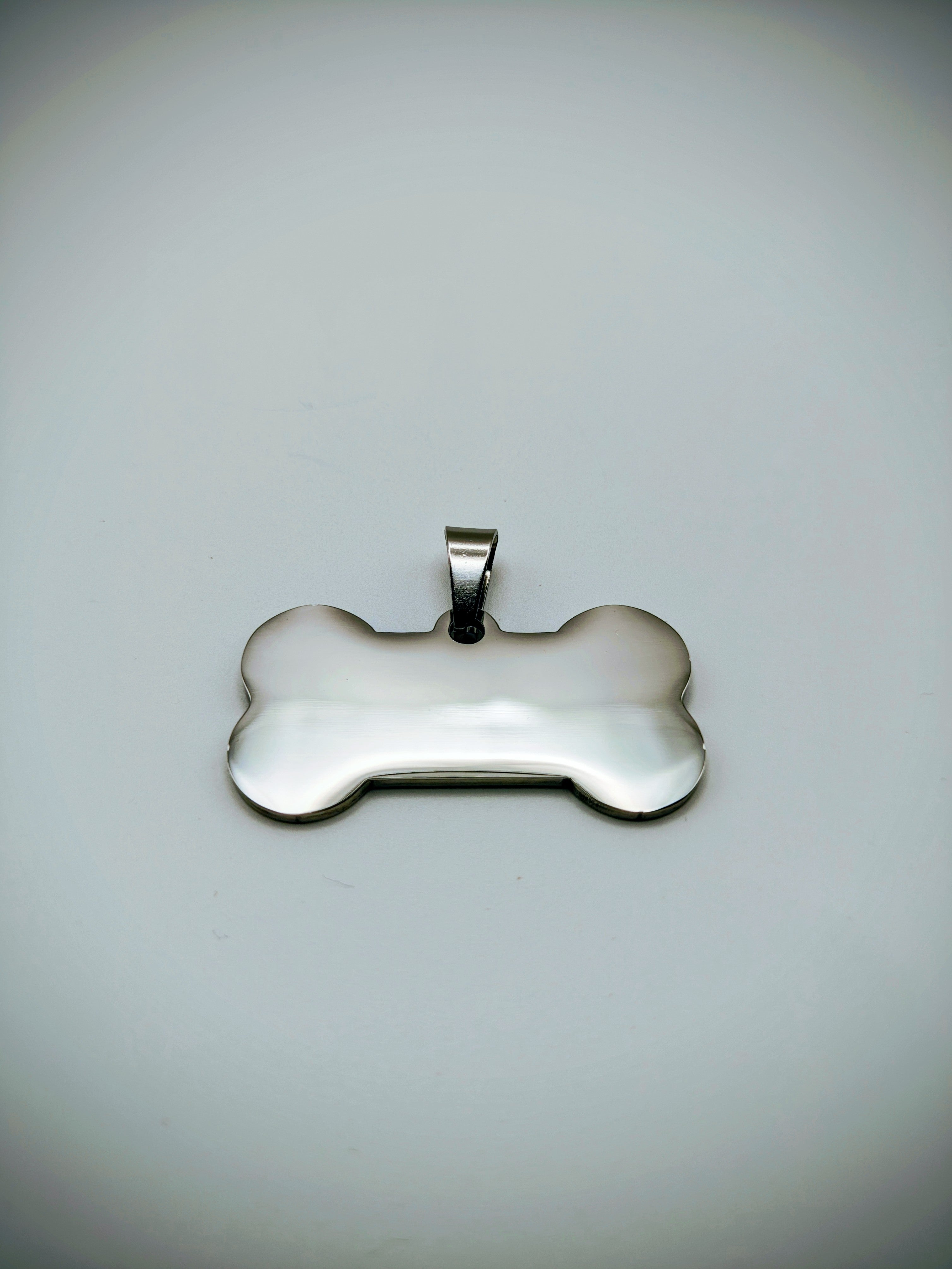 Custom Engraved Stainless Steel Dog Collar – Silver Chain and Tag