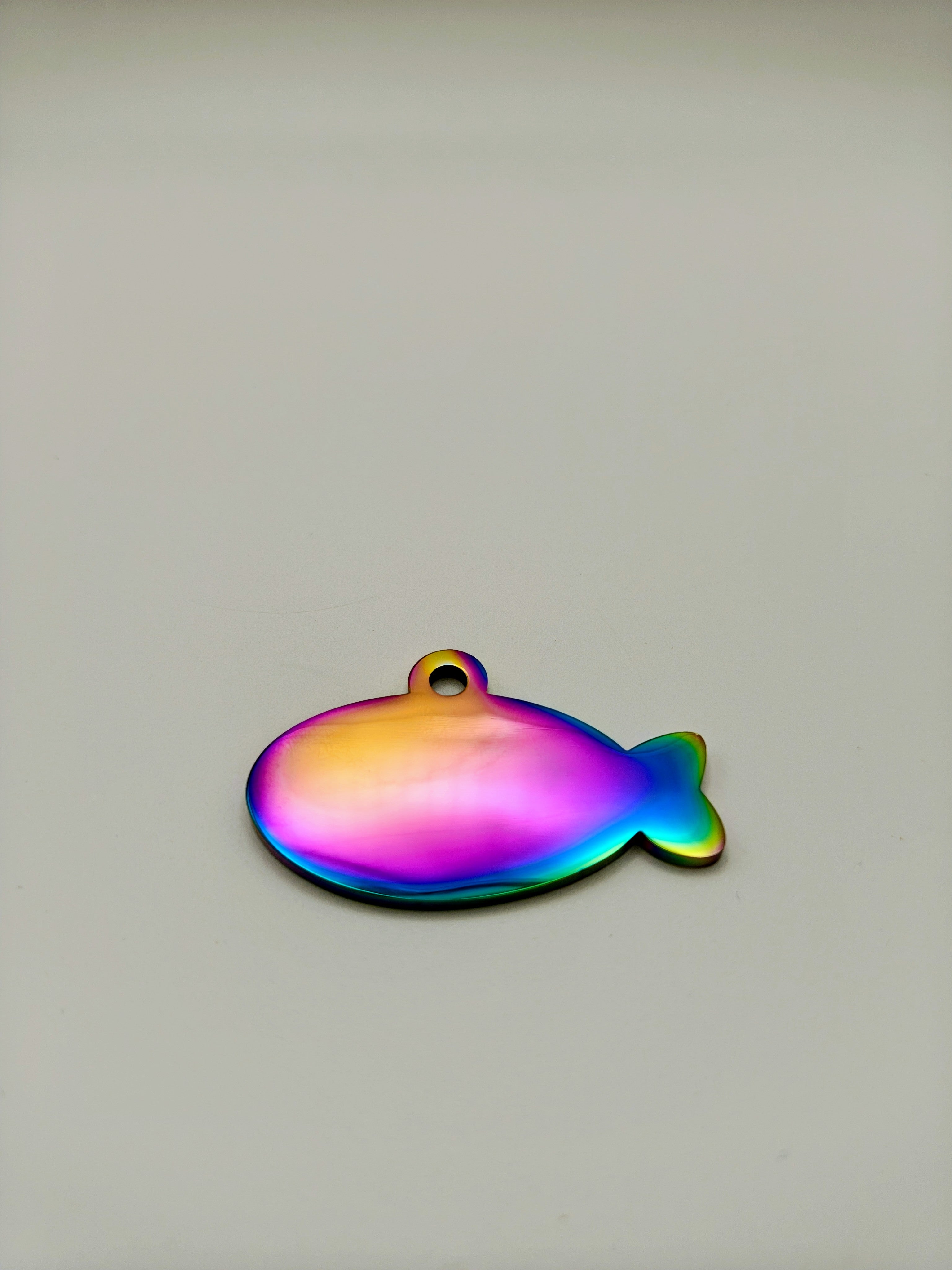 Custom Engraved Stainless Steel Dog Collar – Multicolor Chain and Tag