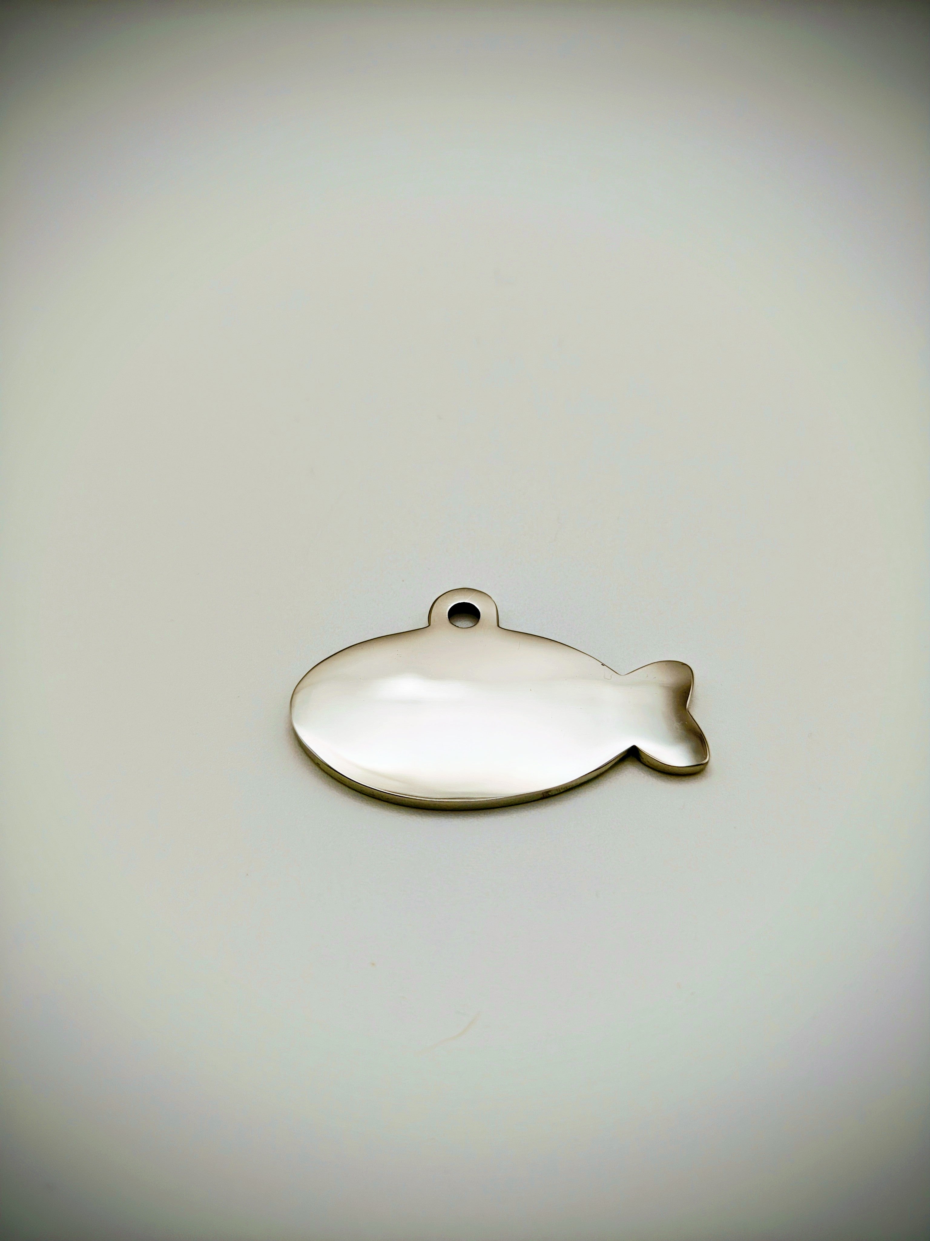 Custom Engraved Stainless Steel Dog Collar – Silver Chain and Tag