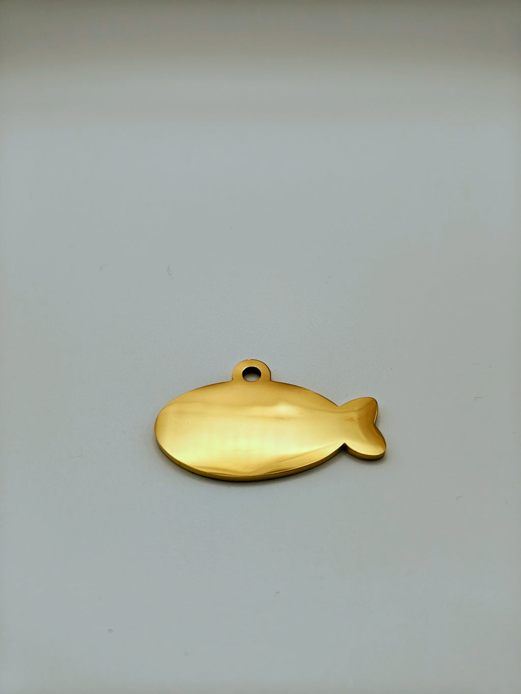 Custom Engraved Stainless Steel Pet Collar – Gold Chain and Tag