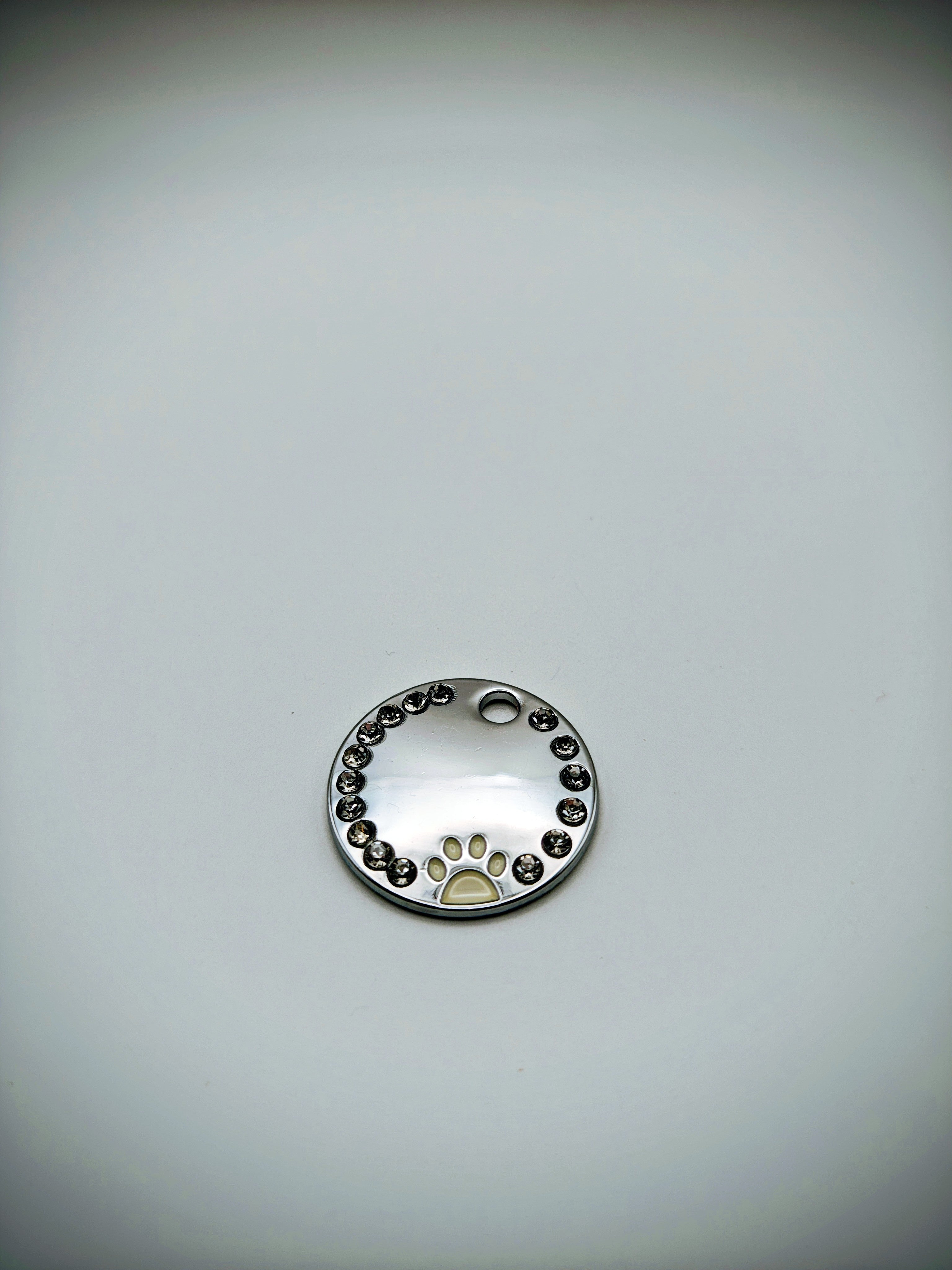 Custom Engraved Stainless Steel Dog Collar – Silver Chain and Tag