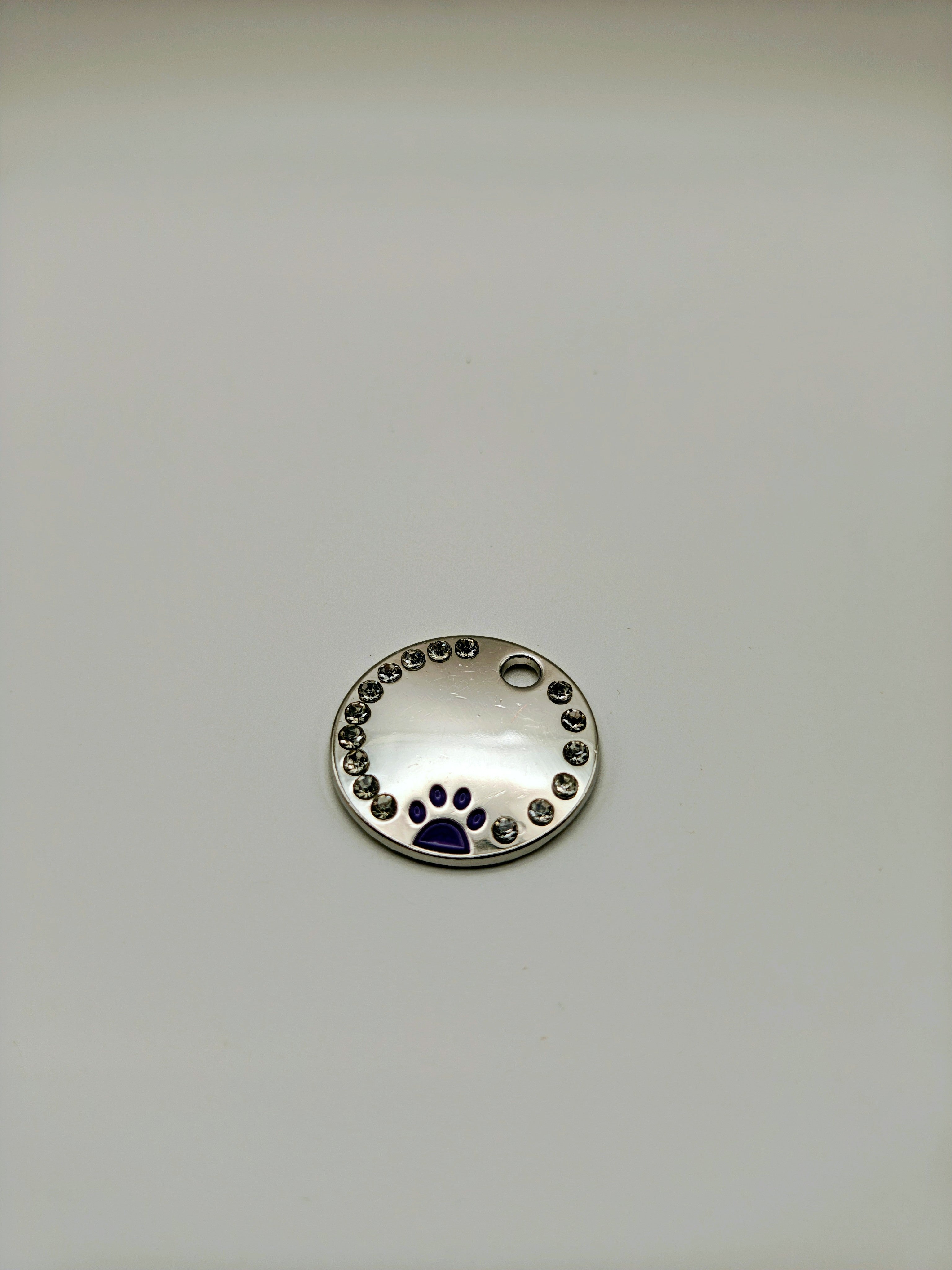 Custom Engraved Stainless Steel Dog Collar – Silver Chain and Tag