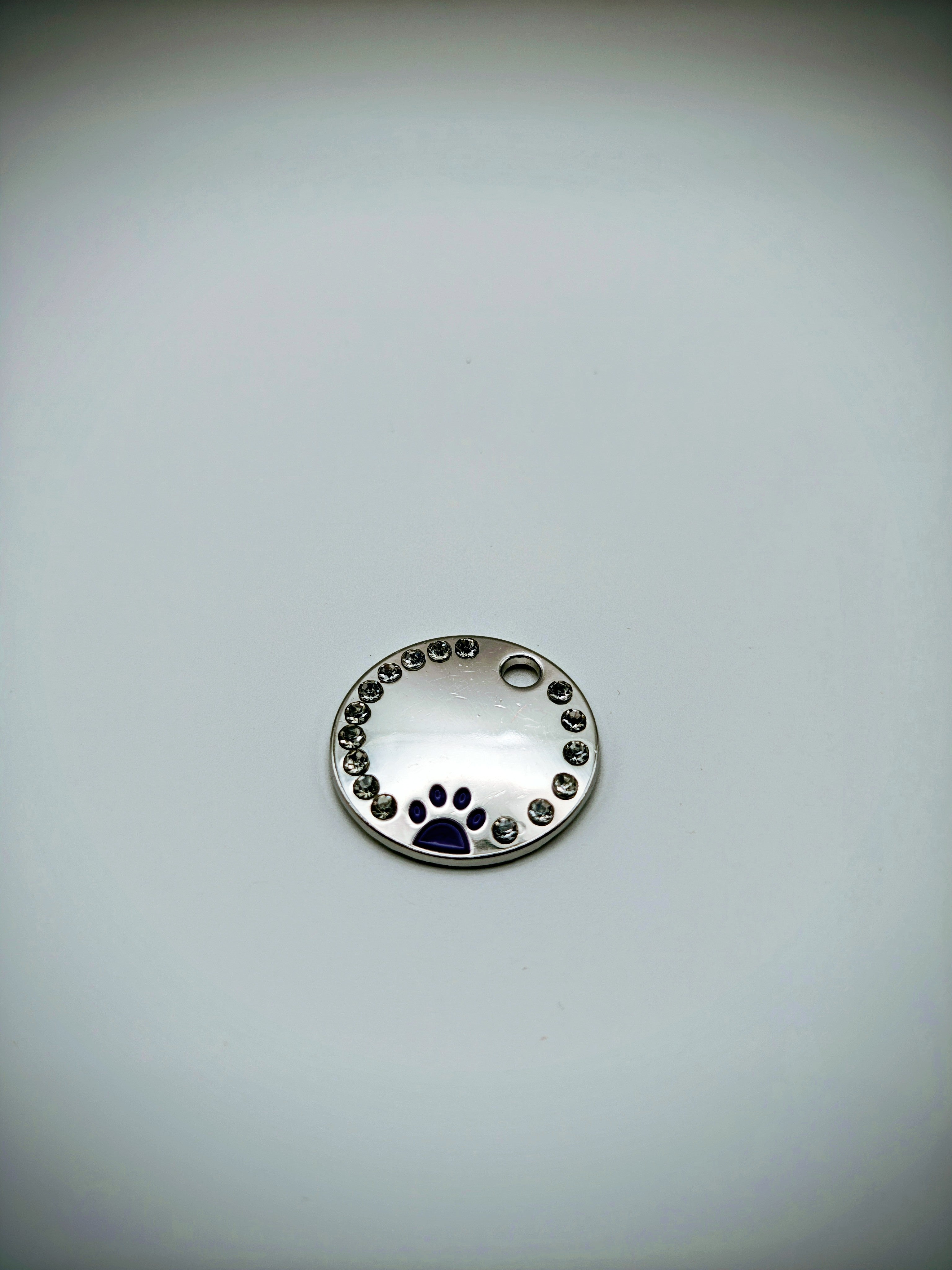 Custom Engraved Stainless Steel Dog Collar – Silver Chain and Tag