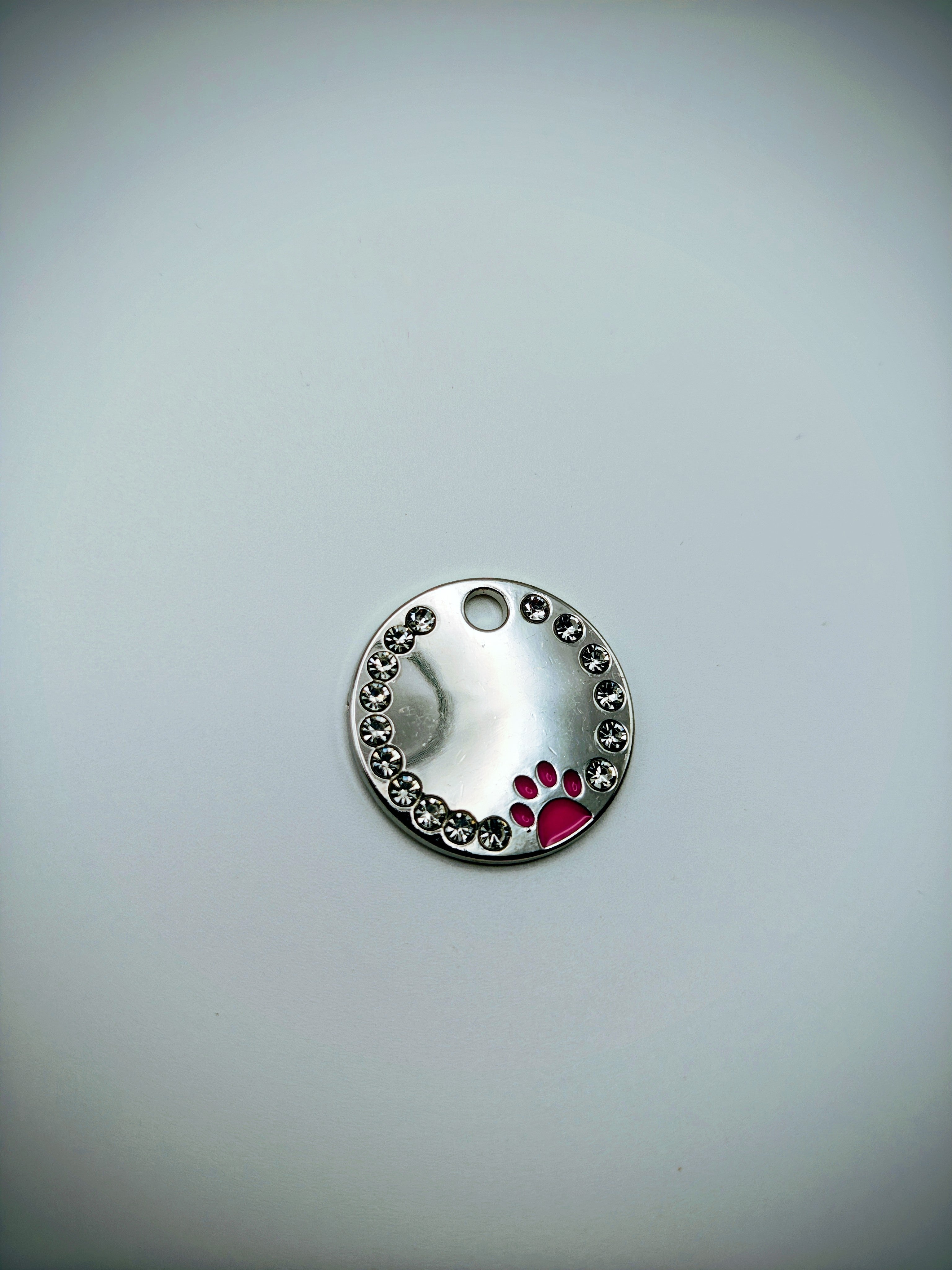 Custom Engraved Stainless Steel Dog Collar – Silver Chain and Tag