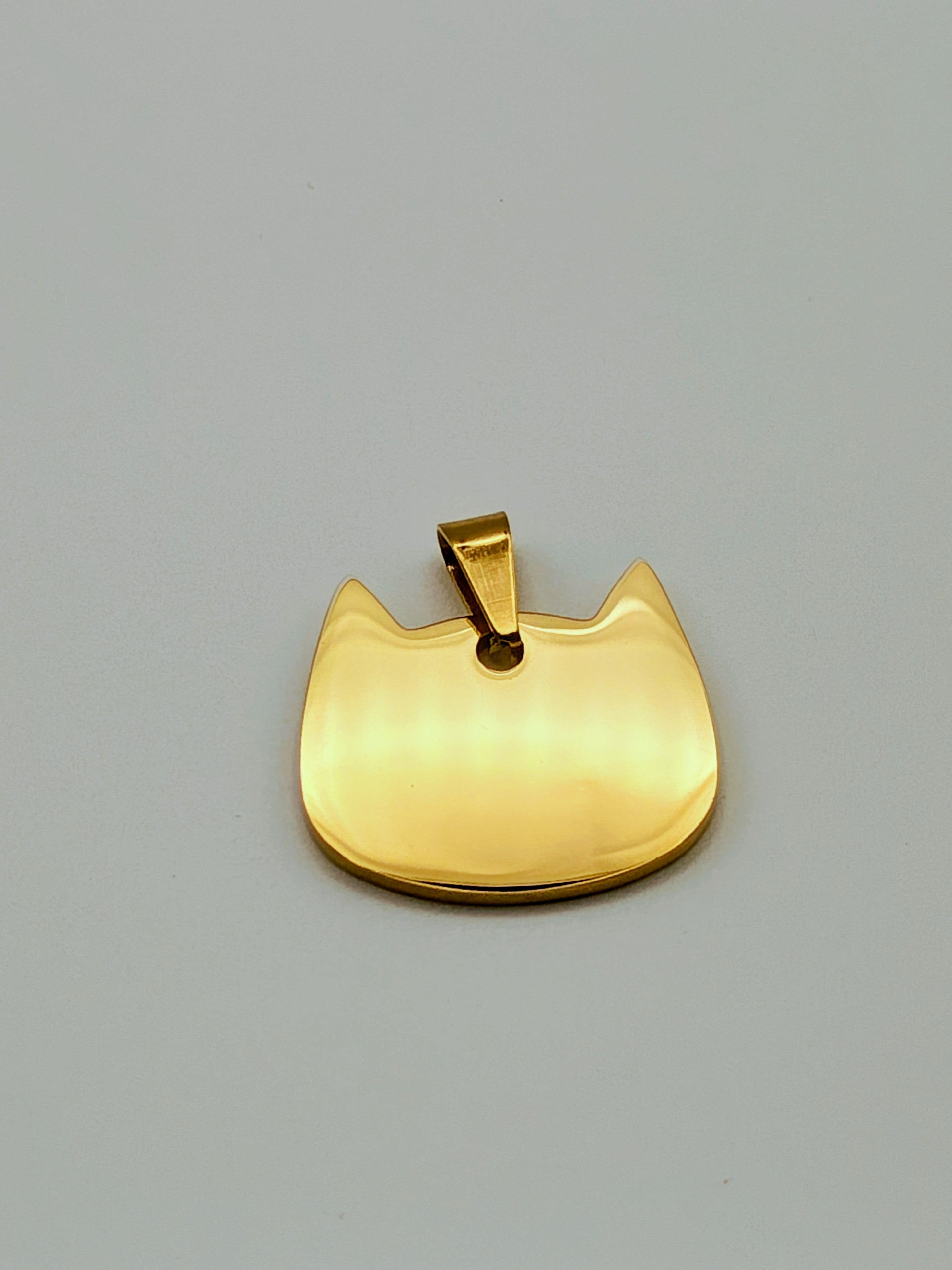 Custom Engraved Stainless Steel Dog Collar – Gold Chain and Tag