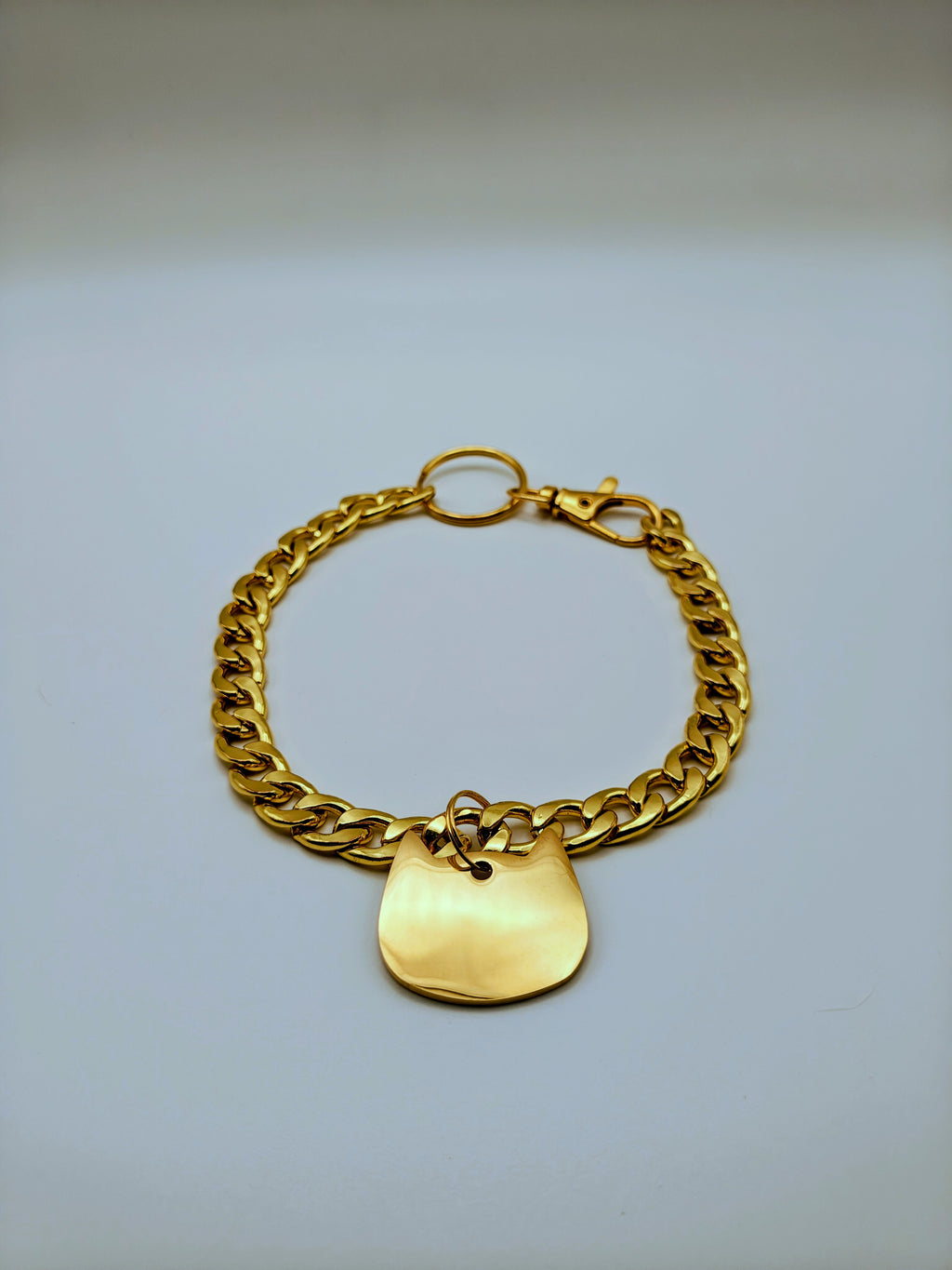 Custom Engraved Stainless Steel Pet Collar – Gold Chain and Tag