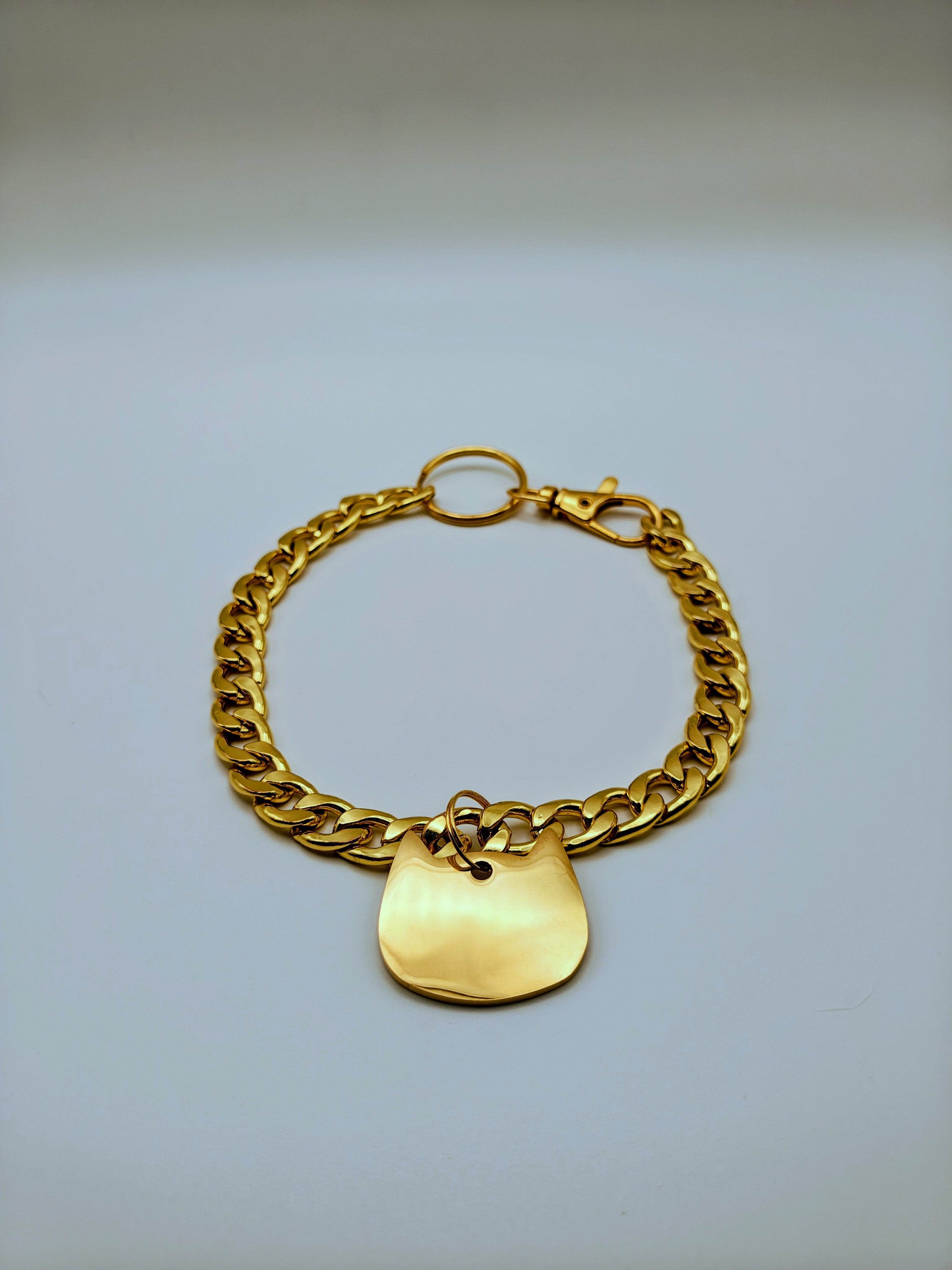 Custom Engraved Stainless Steel Dog Collar – Gold Chain and Tag