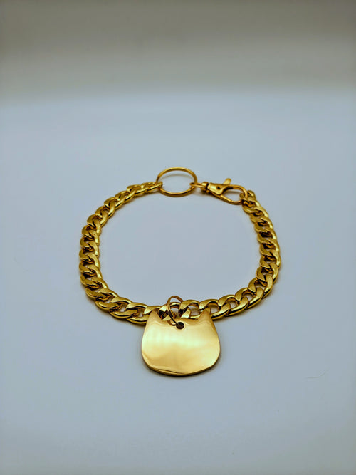 Custom Engraved Stainless Steel Dog Collar – Gold Chain and Tag