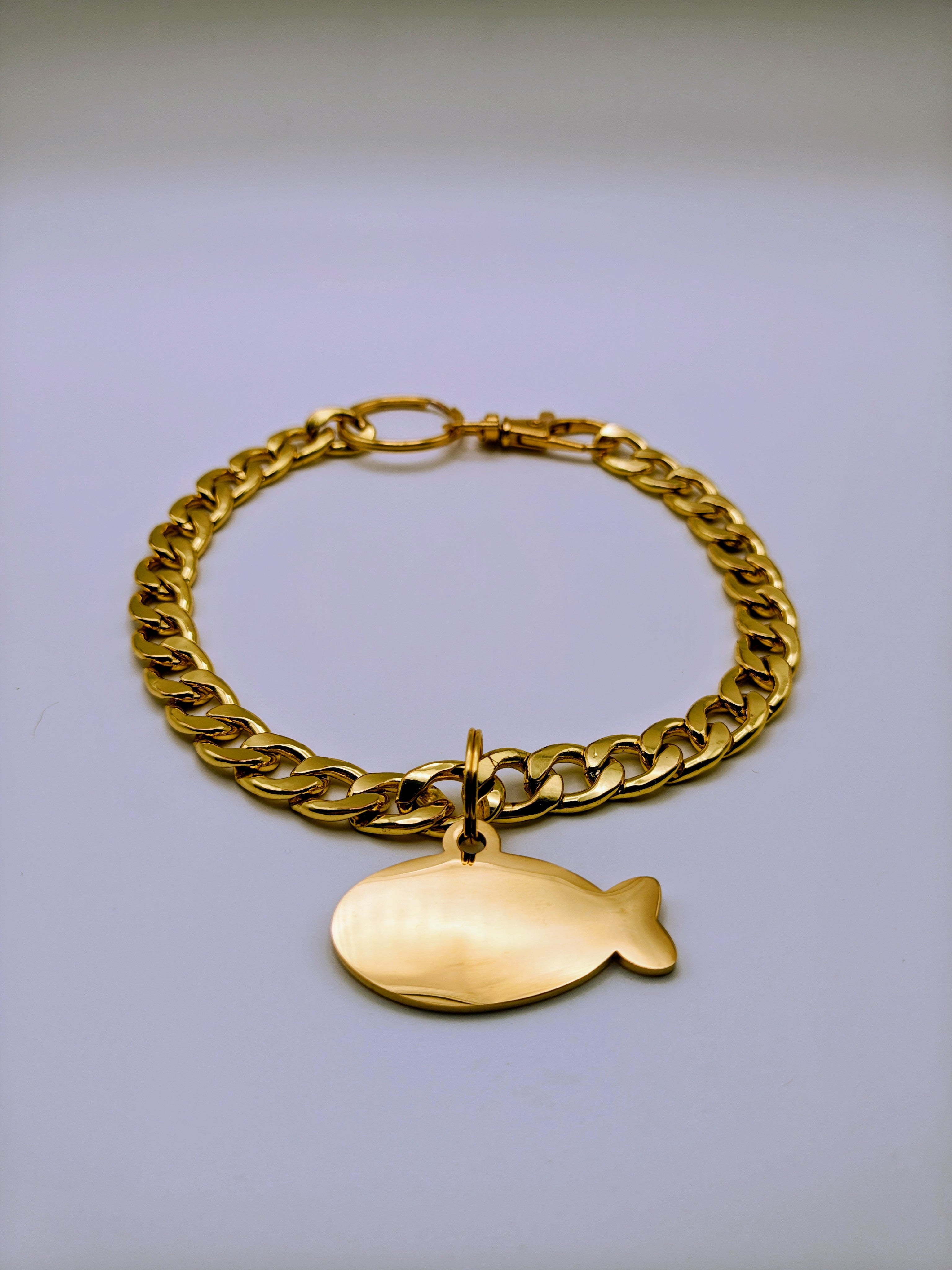 Custom Engraved Stainless Steel Dog Collar – Gold Chain and Tag