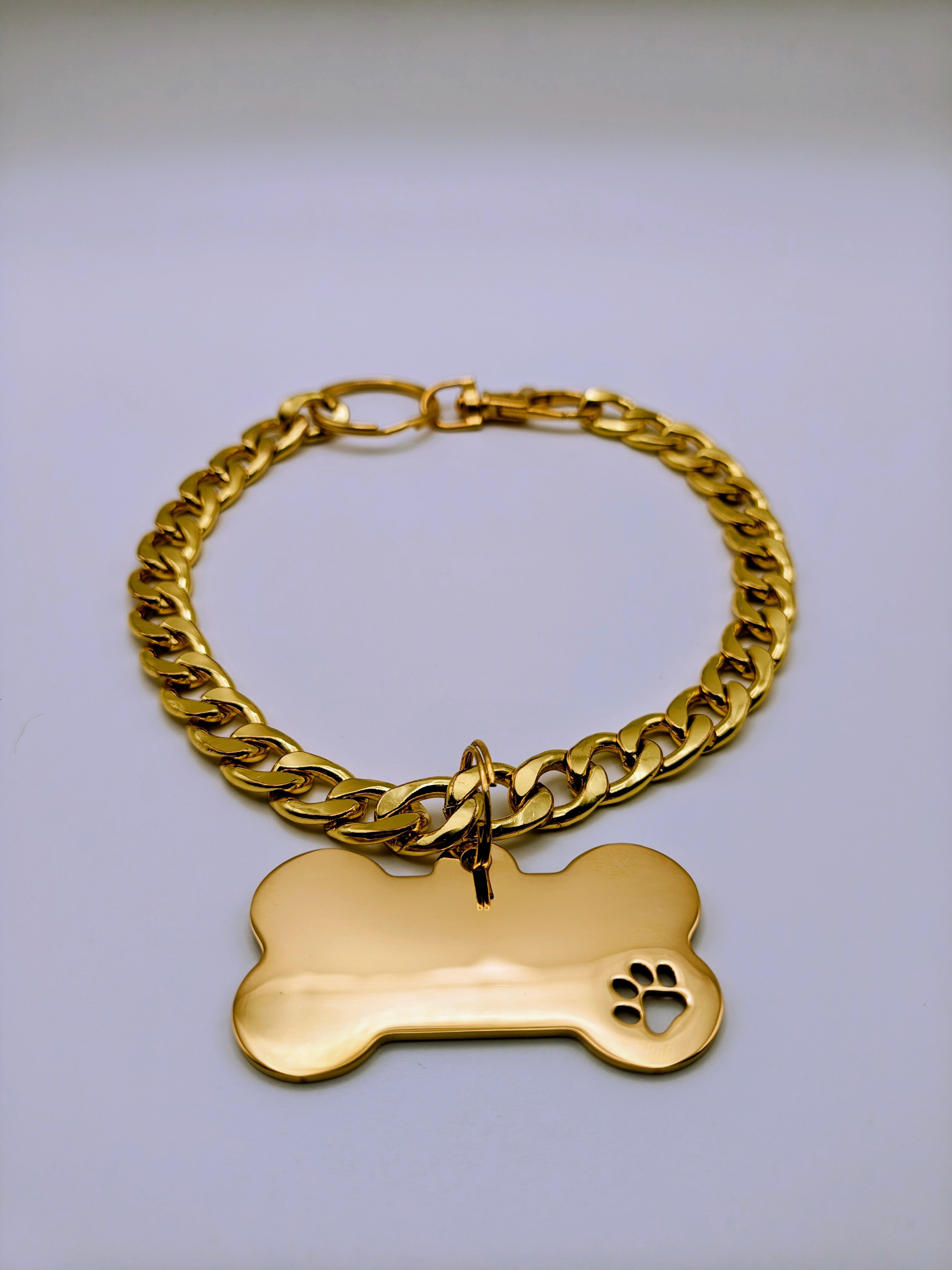 Custom Engraved Stainless Steel Dog Collar – Gold Chain and Tag