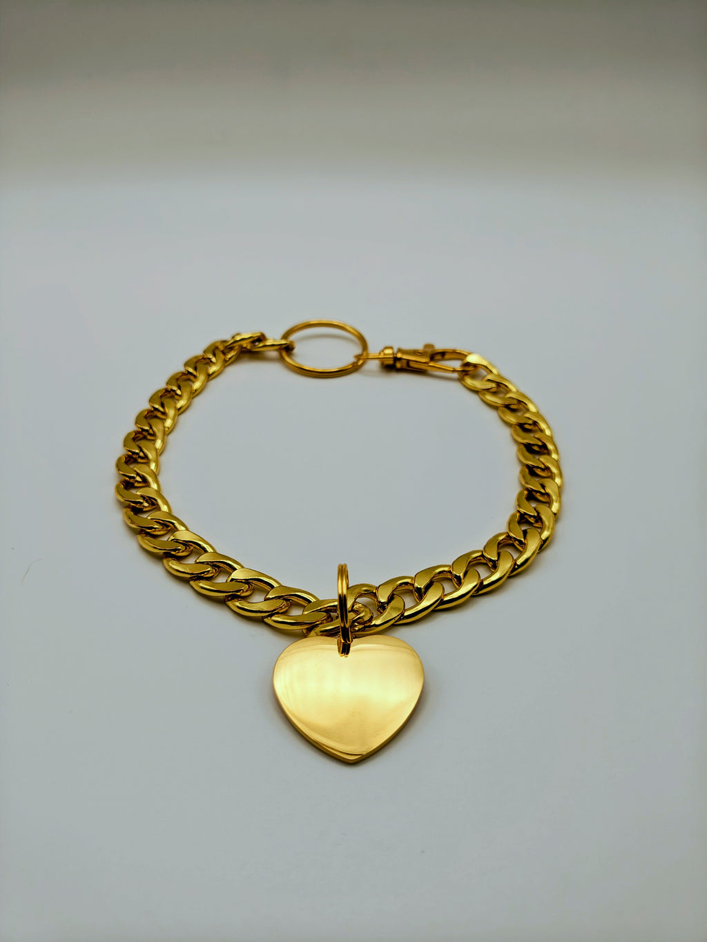 Custom Engraved Stainless Steel Pet Collar – Gold Chain and Tag