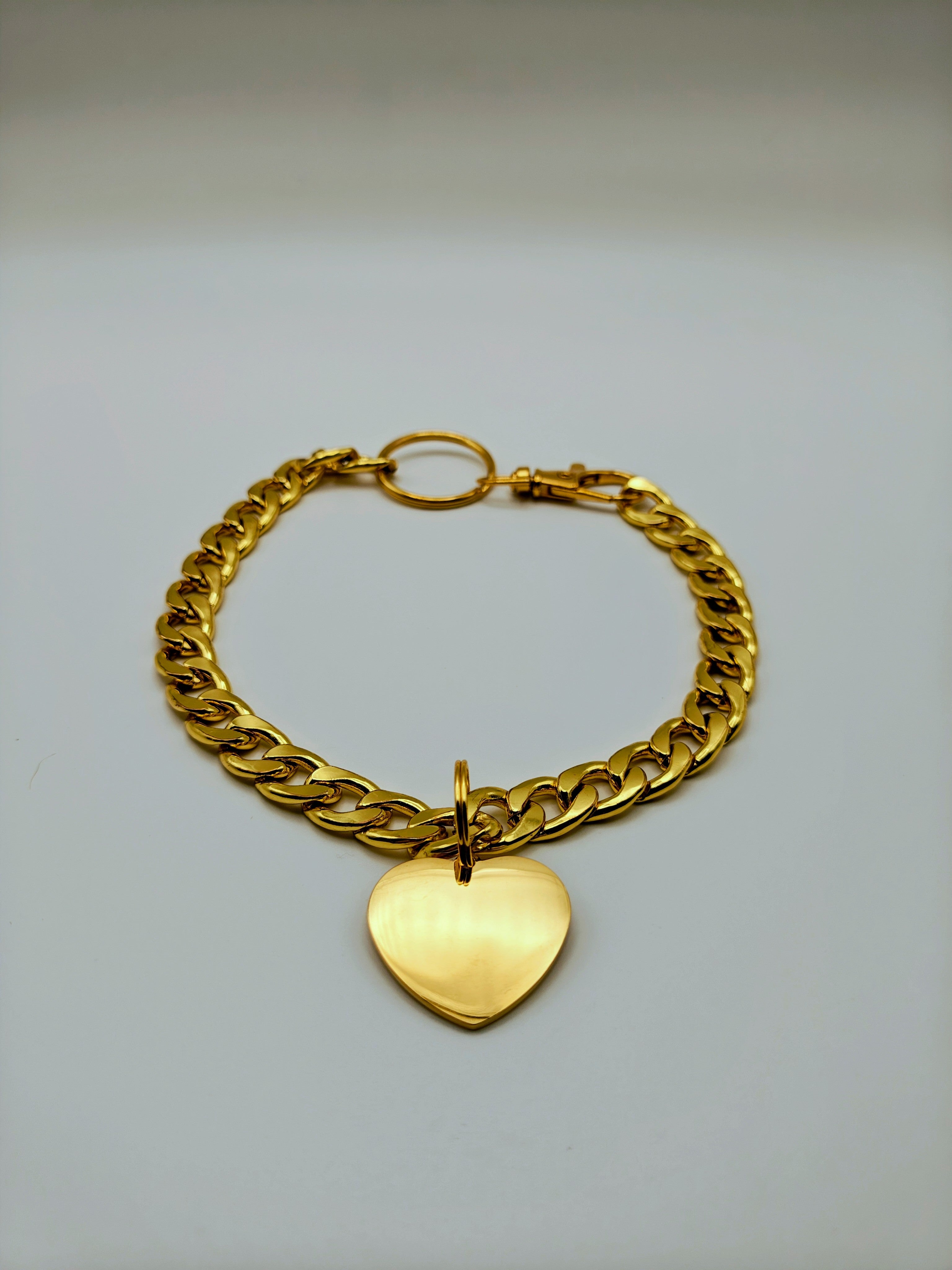 Custom Engraved Stainless Steel Pet Collar – Gold Chain and Tag