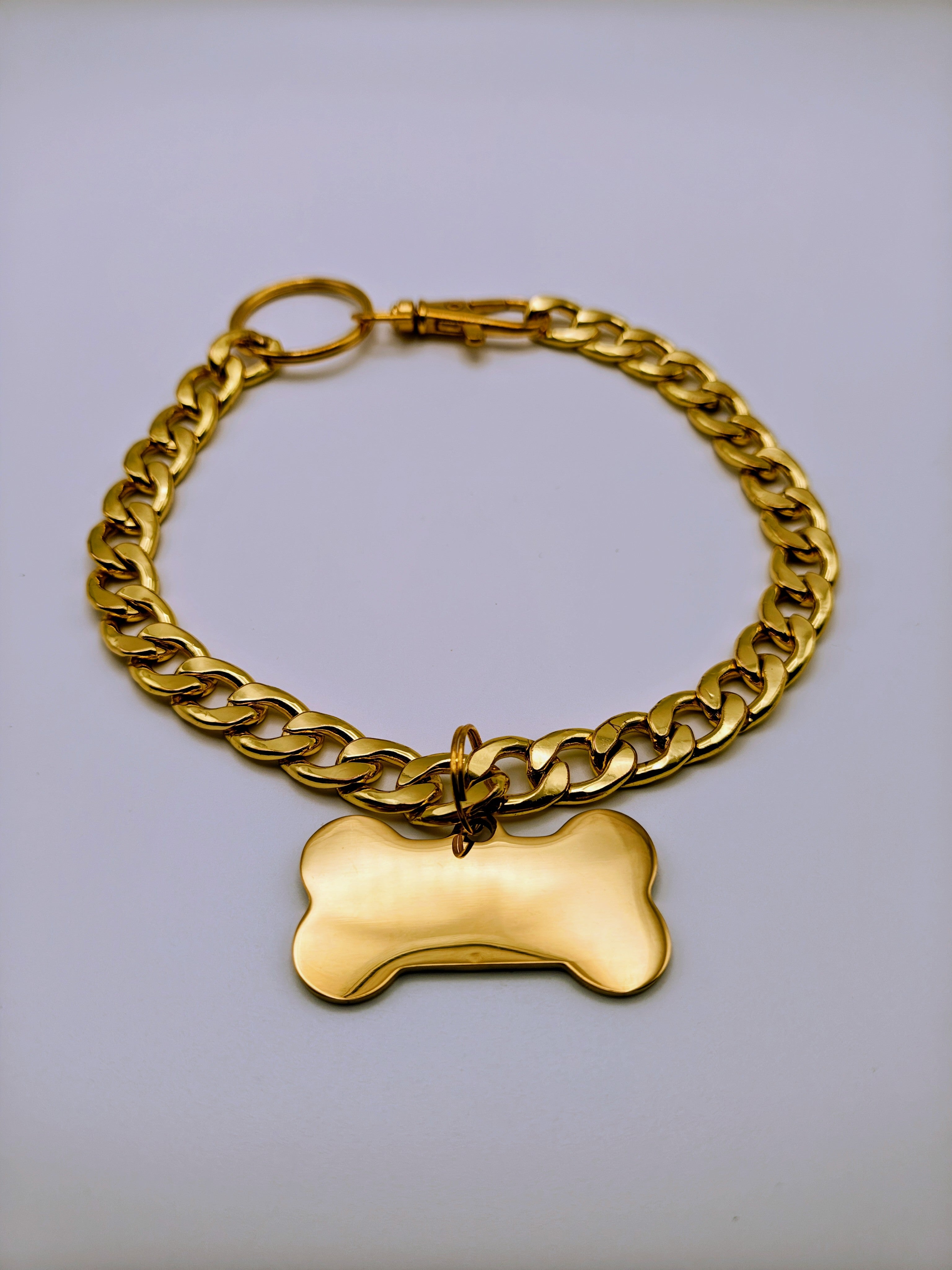 Custom Engraved Stainless Steel Dog Collar – Gold Chain and Tag