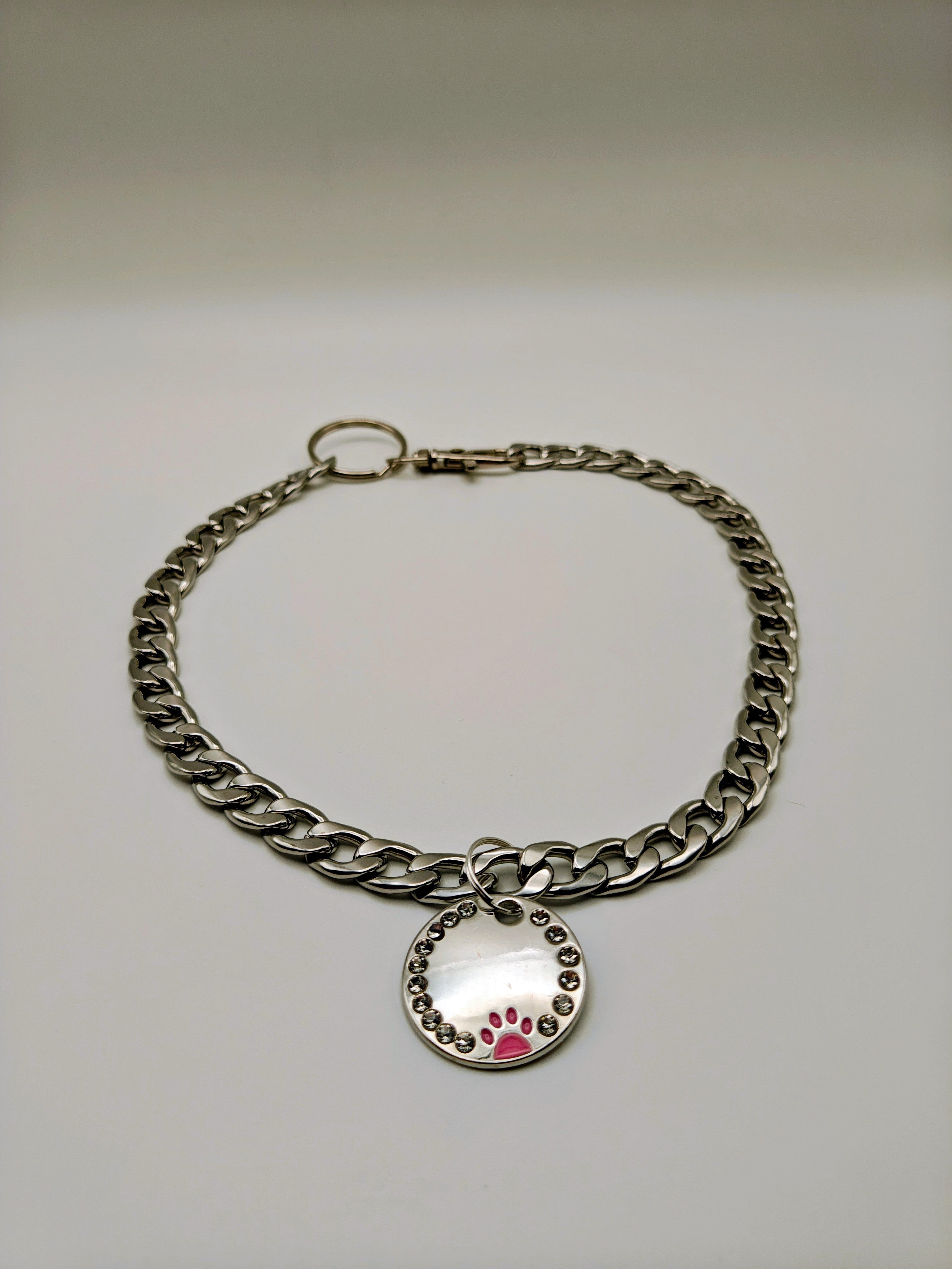 Custom Engraved Stainless Steel Dog Collar – Silver Chain and Tag