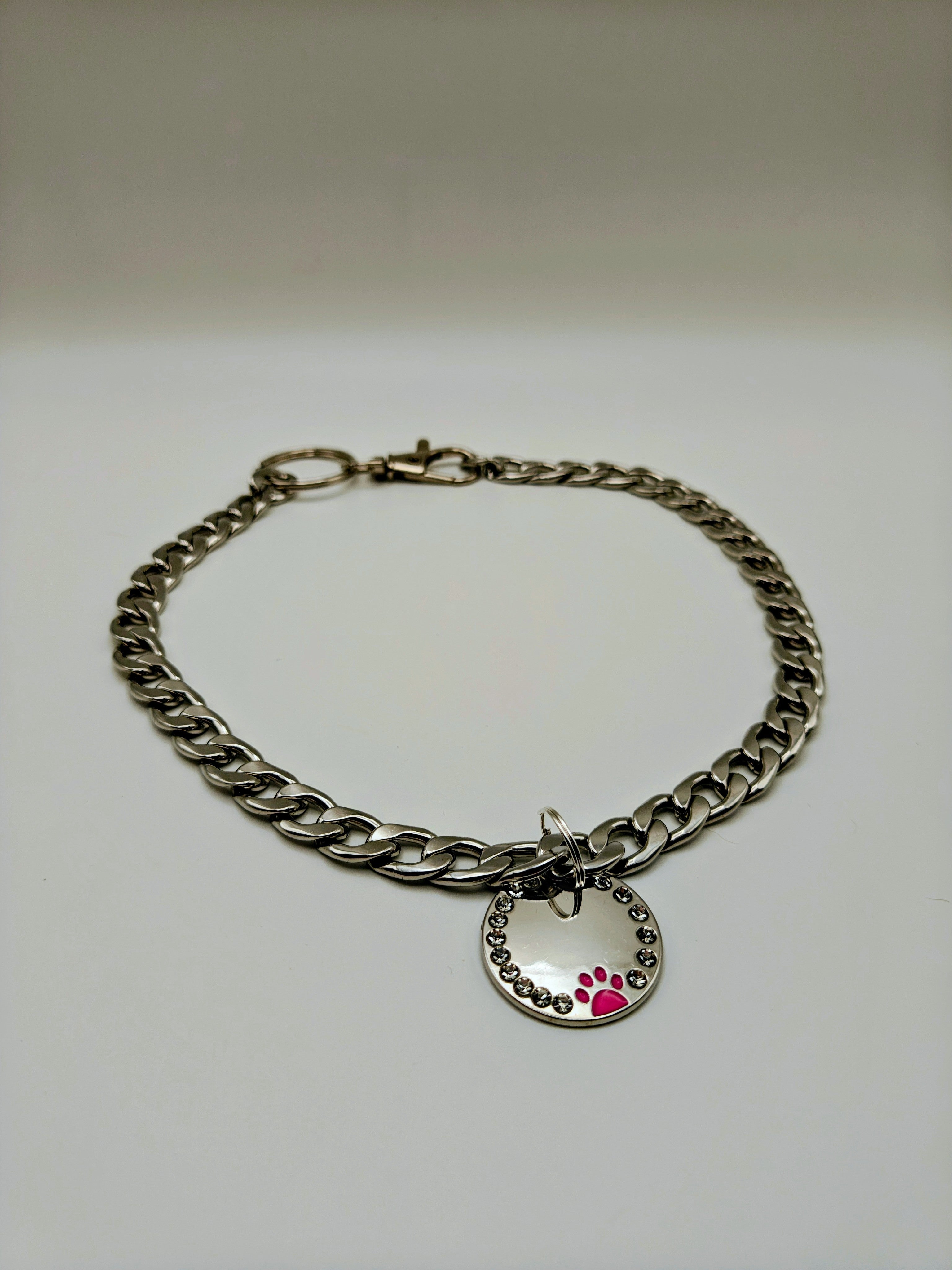 Custom Engraved Stainless Steel Dog Collar – Silver Chain and Tag