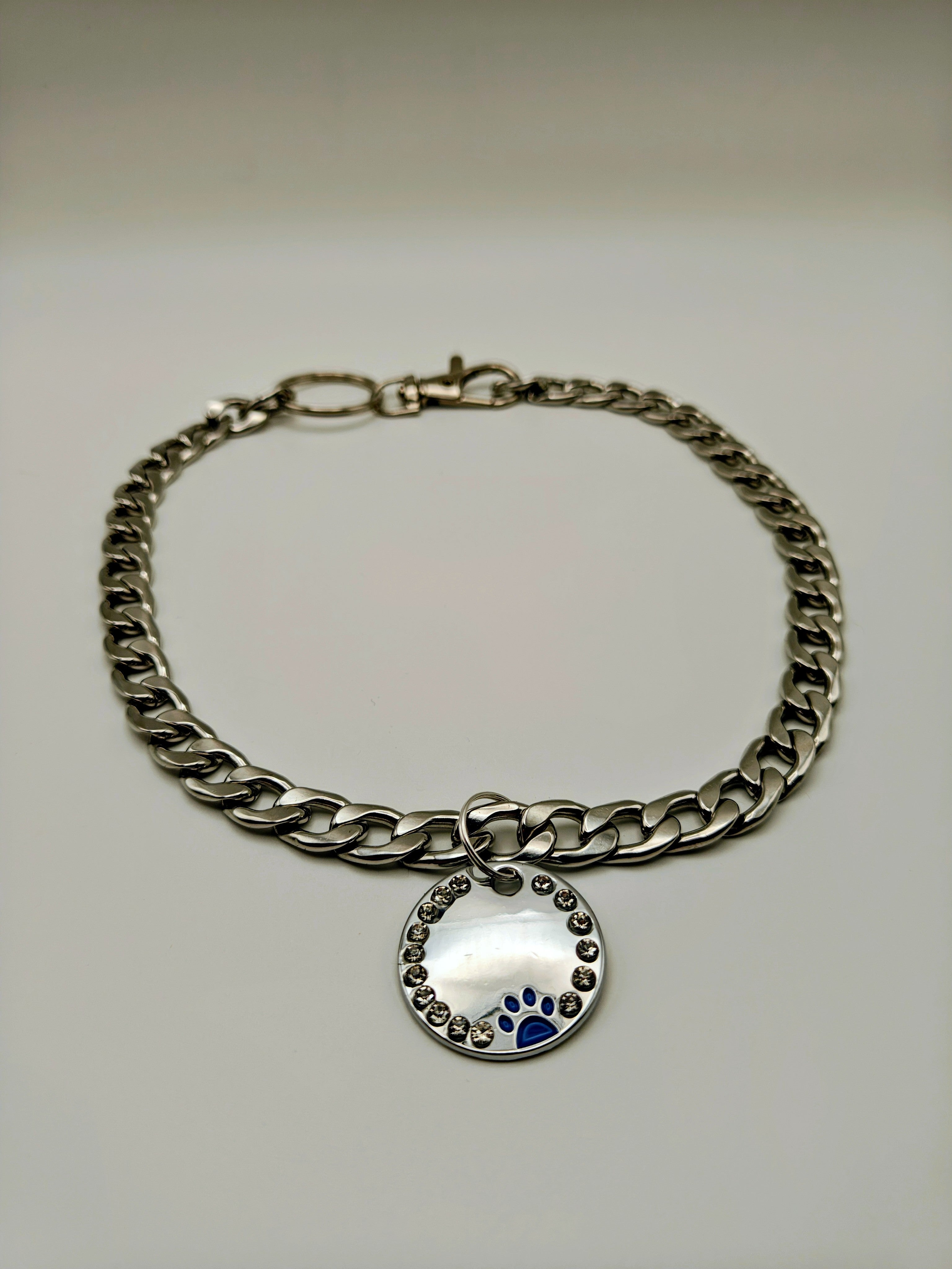 Custom Engraved Stainless Steel Dog Collar – Silver Chain and Tag