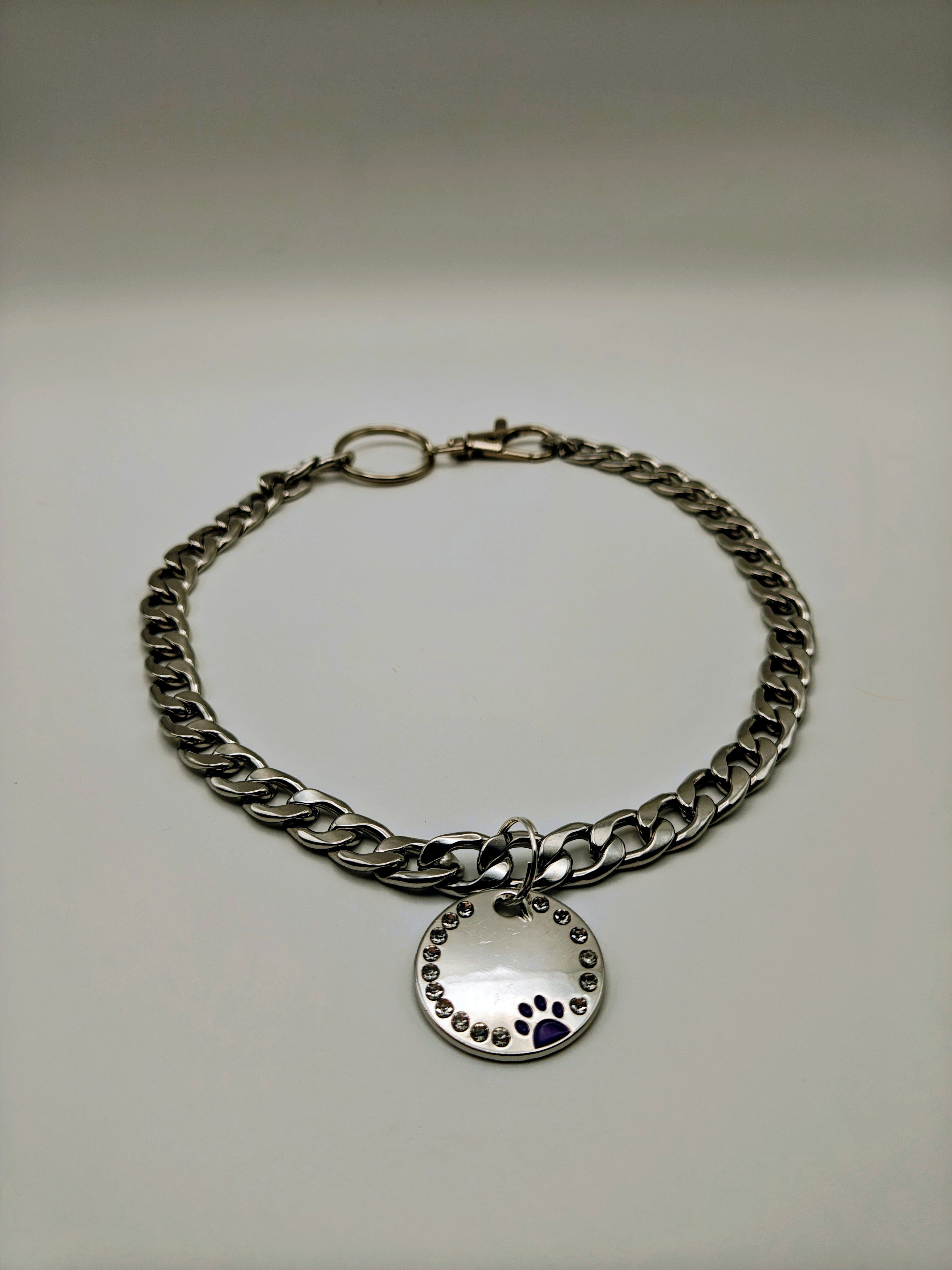 Custom Engraved Stainless Steel Pet Collar – Silver Shinny Chain and Tag