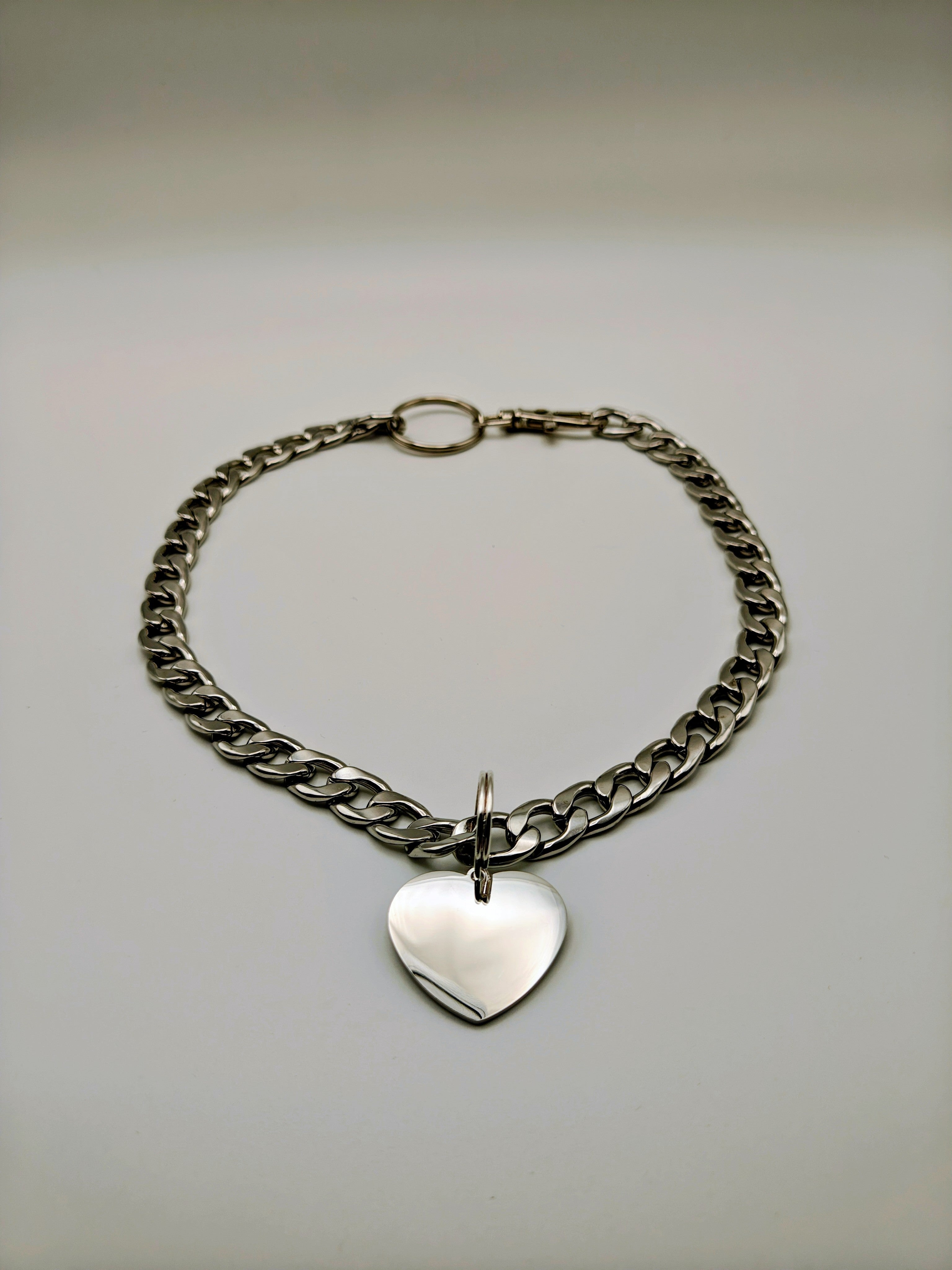 Custom Engraved Stainless Steel Pet Collar – Silver Chain and Tag