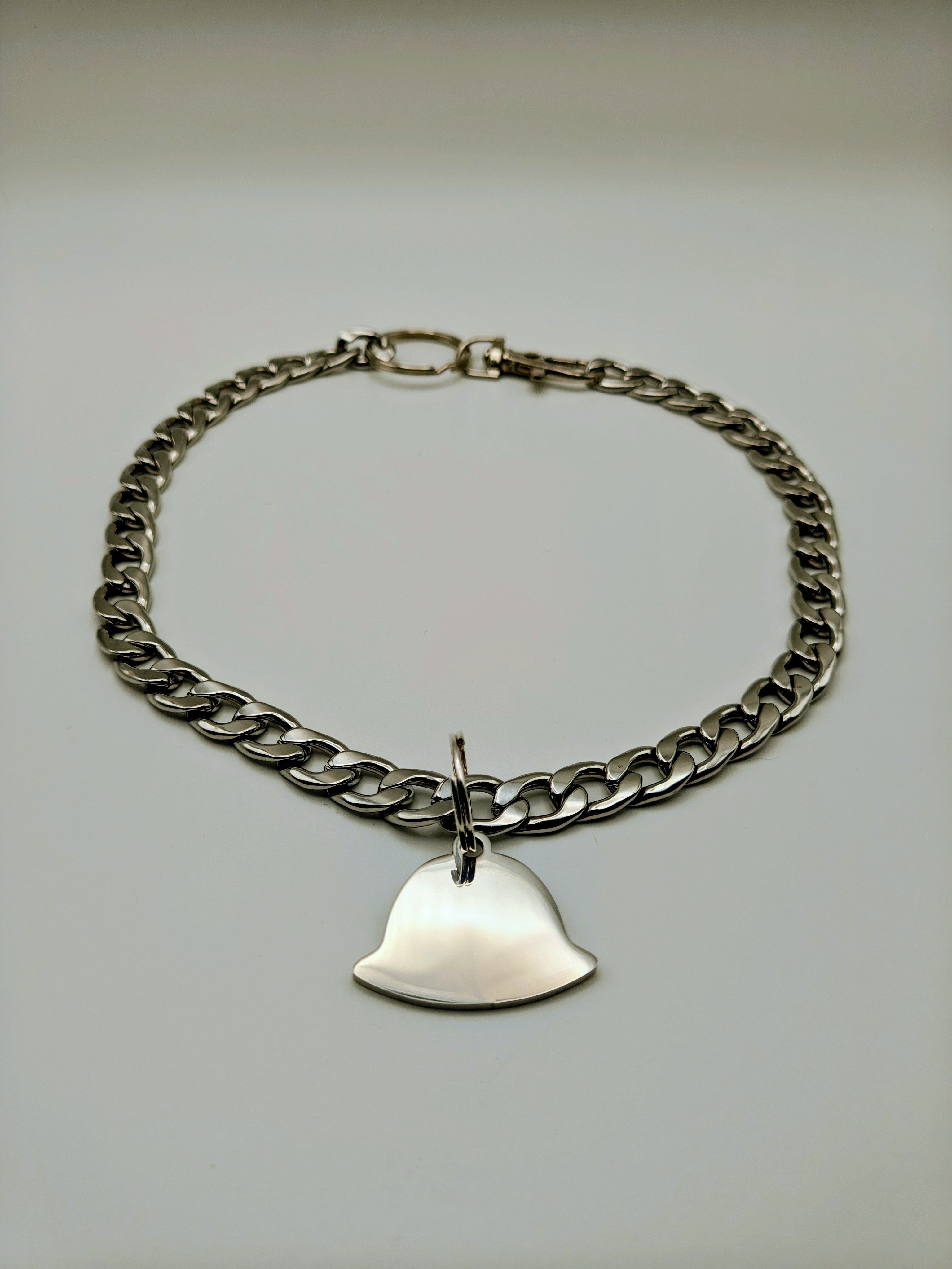 Custom Engraved Stainless Steel Pet Collar – Silver Chain and Tag