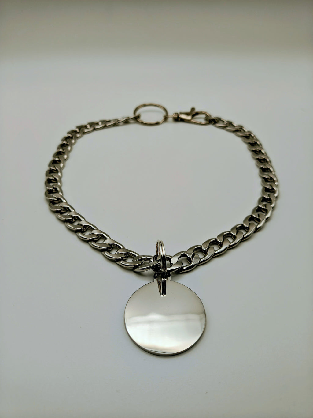 Custom Engraved Stainless Steel Pet Collar – Silver Chain and Tag