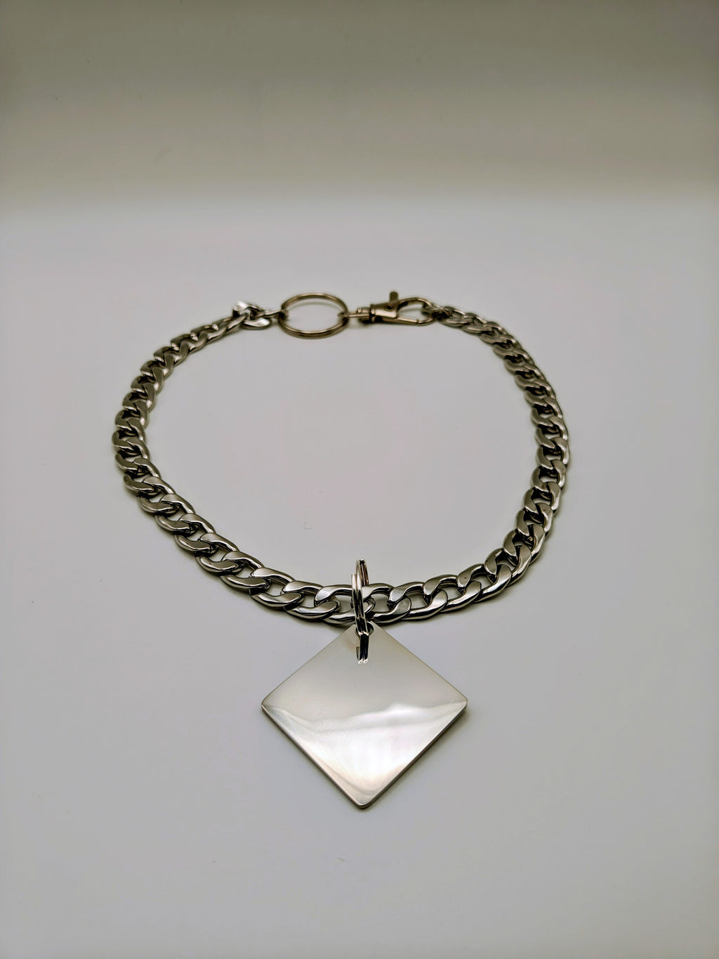 Custom Engraved Stainless Steel Pet Collar – Silver Chain and Tag