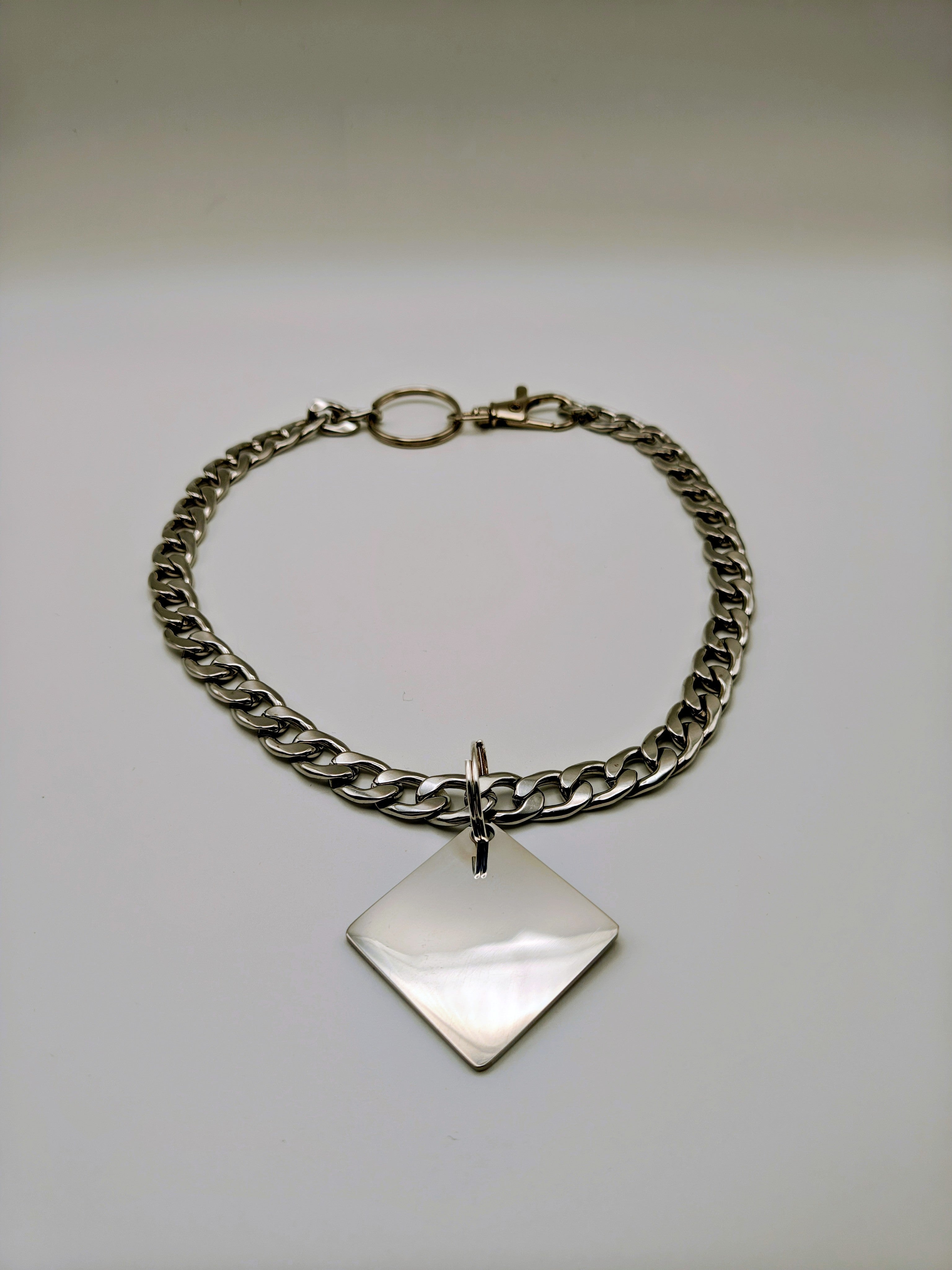 Custom Engraved Stainless Steel Pet Collar – Silver Chain and Tag