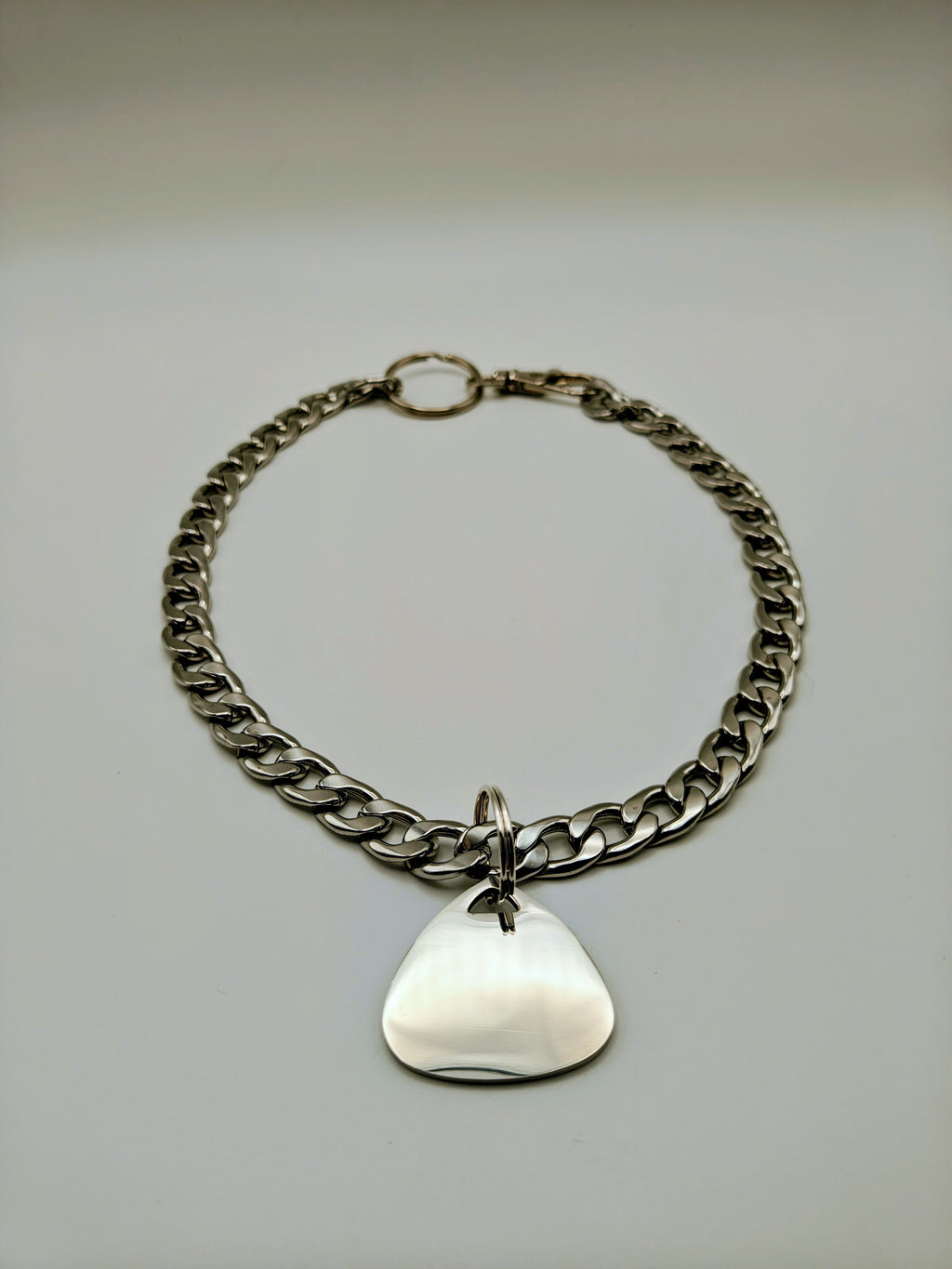 Custom Engraved Stainless Steel Pet Collar – Silver Chain and Tag