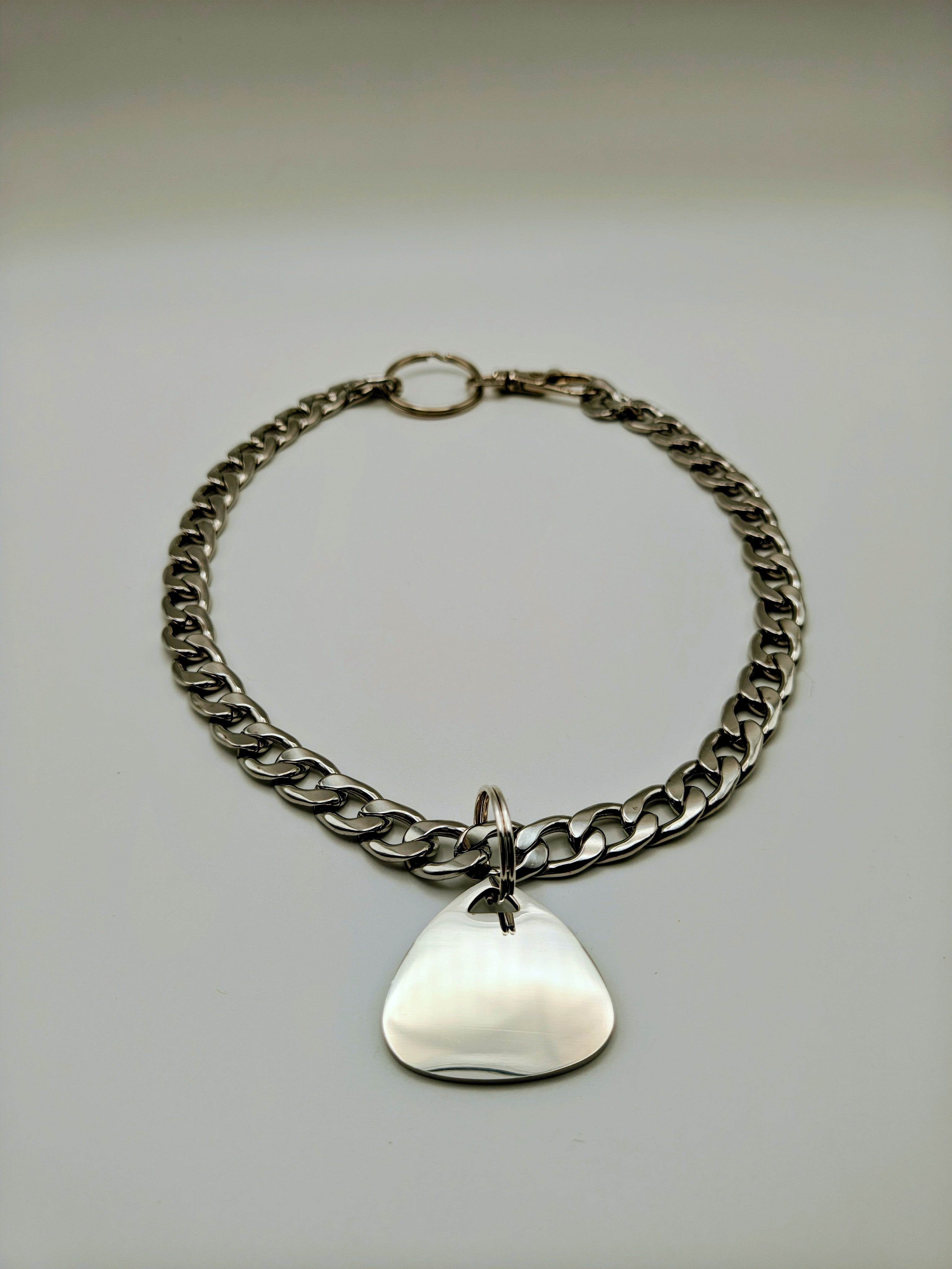 Custom Engraved Stainless Steel Pet Collar – Silver Chain and Tag