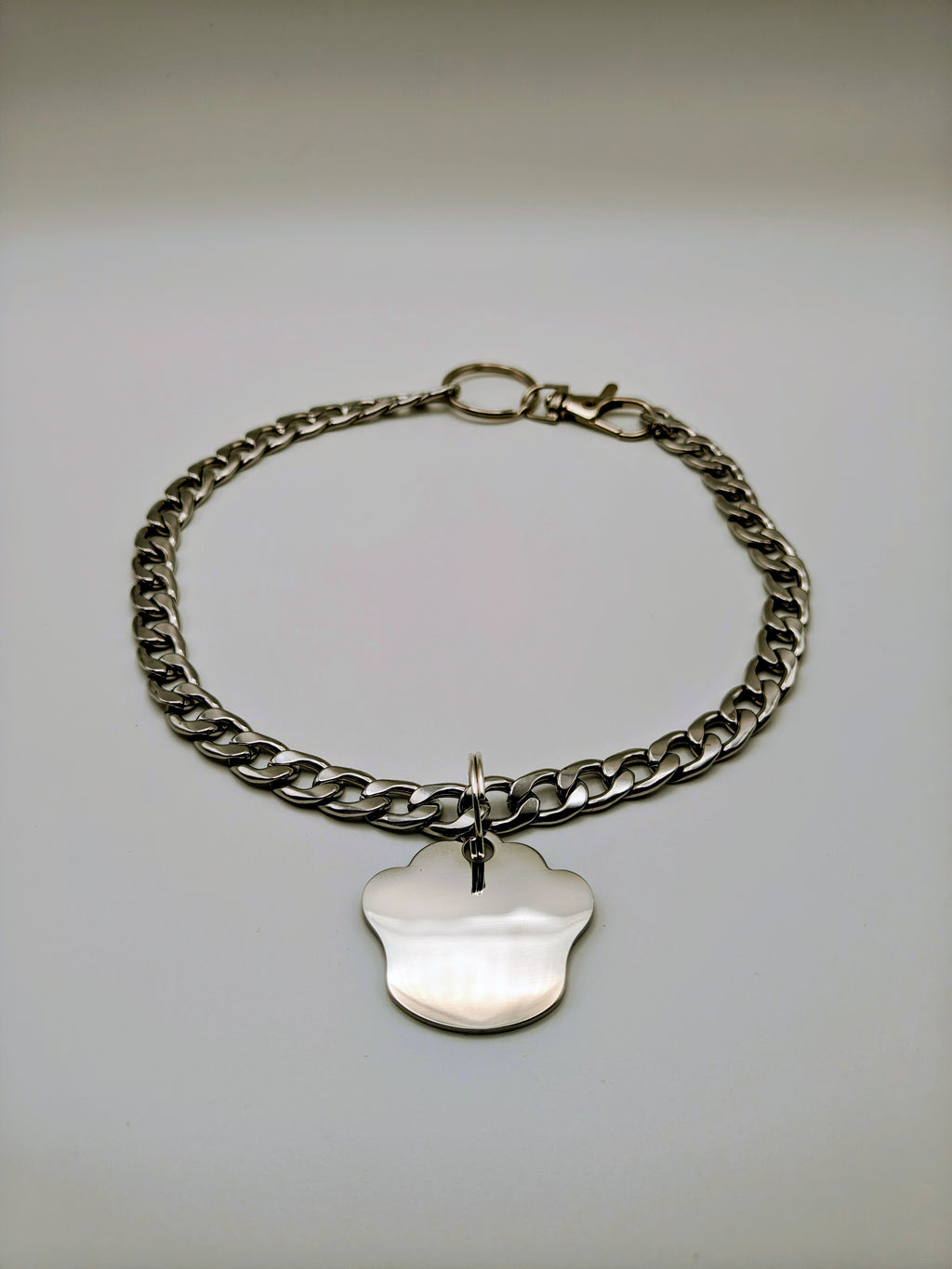 Custom Engraved Stainless Steel Pet Collar – Silver Chain and Tag