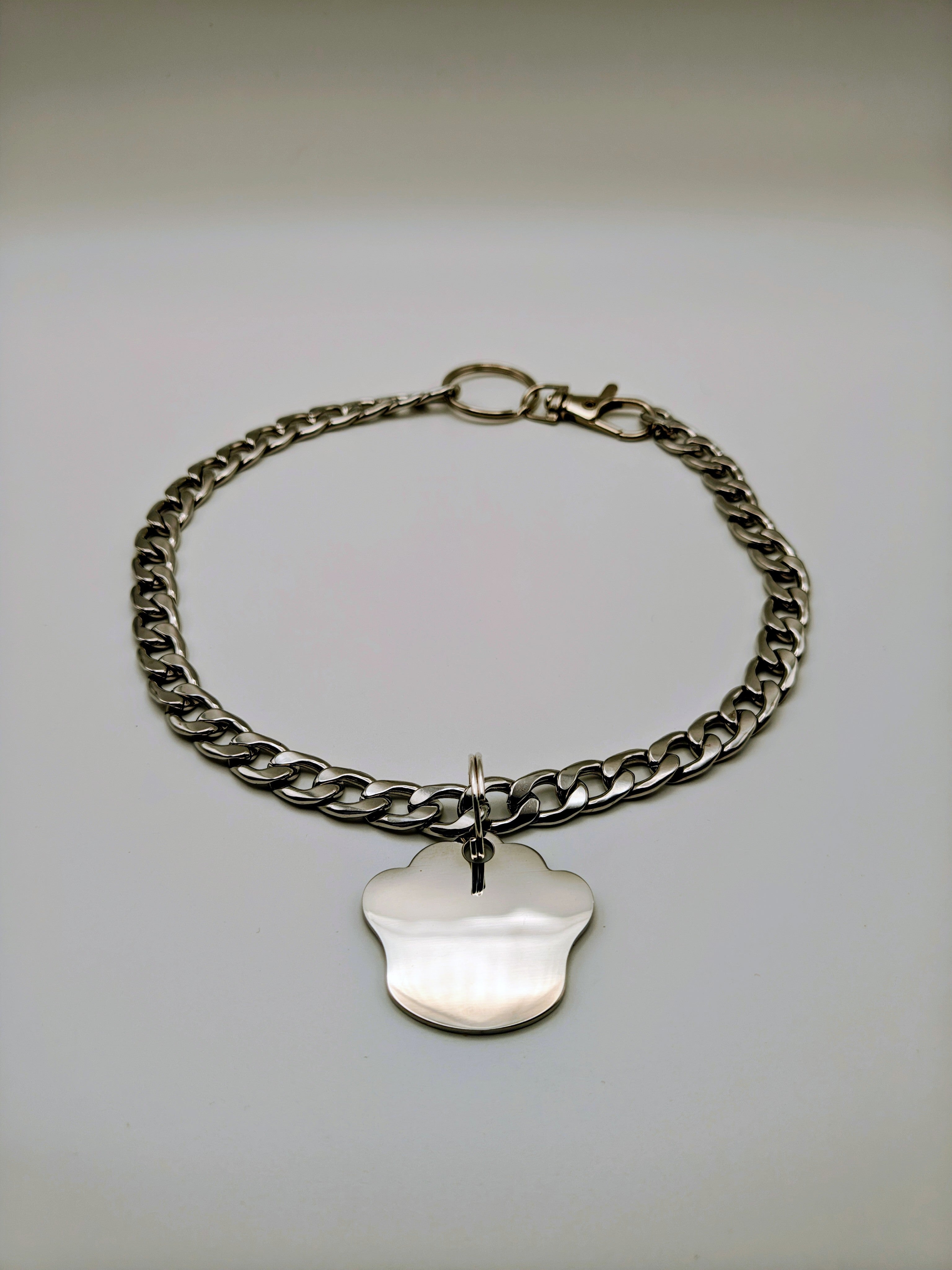 Custom Engraved Stainless Steel Pet Collar – Silver Chain and Tag