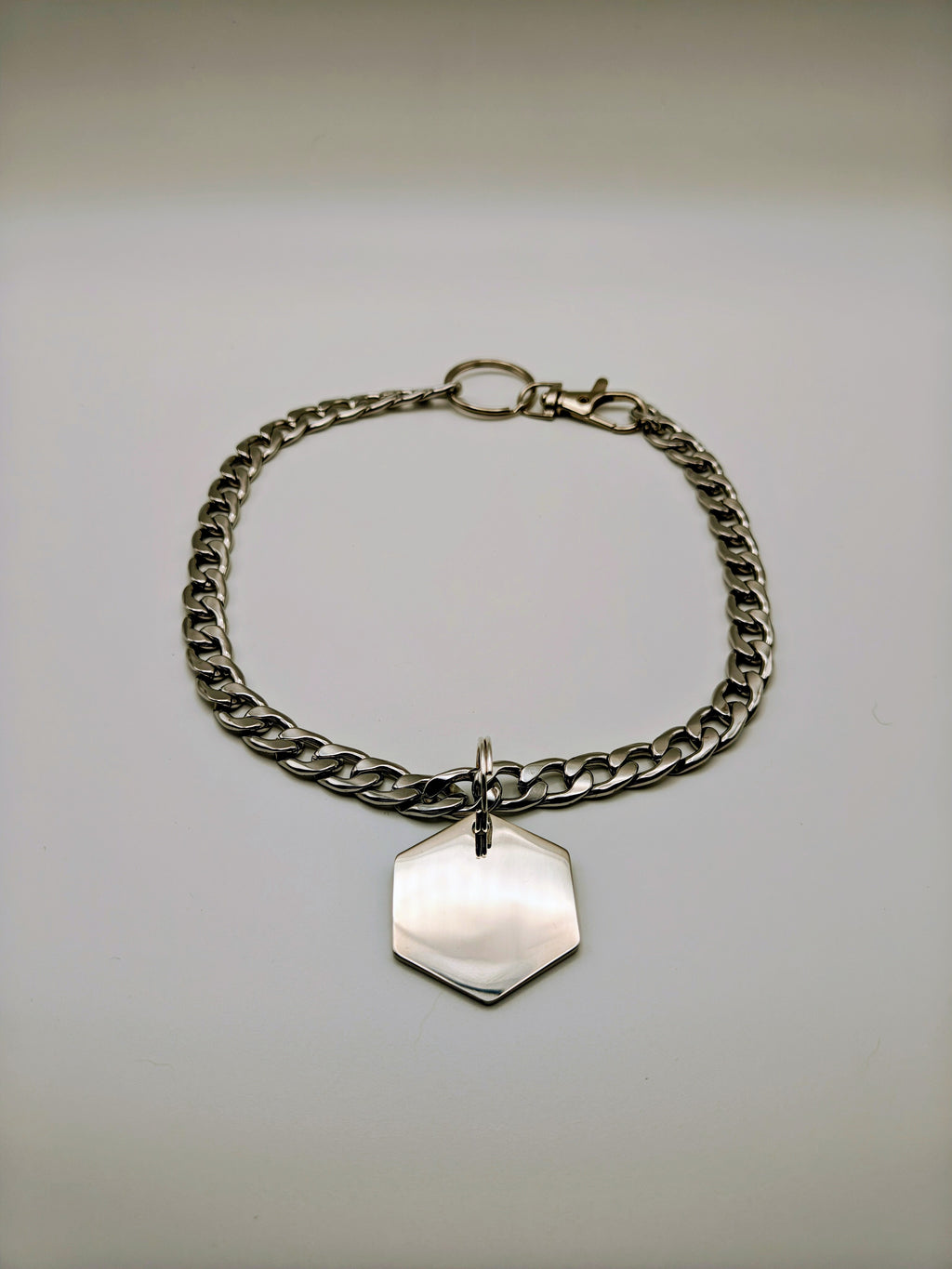 Custom Engraved Stainless Steel Pet Collar – Silver Chain and Tag
