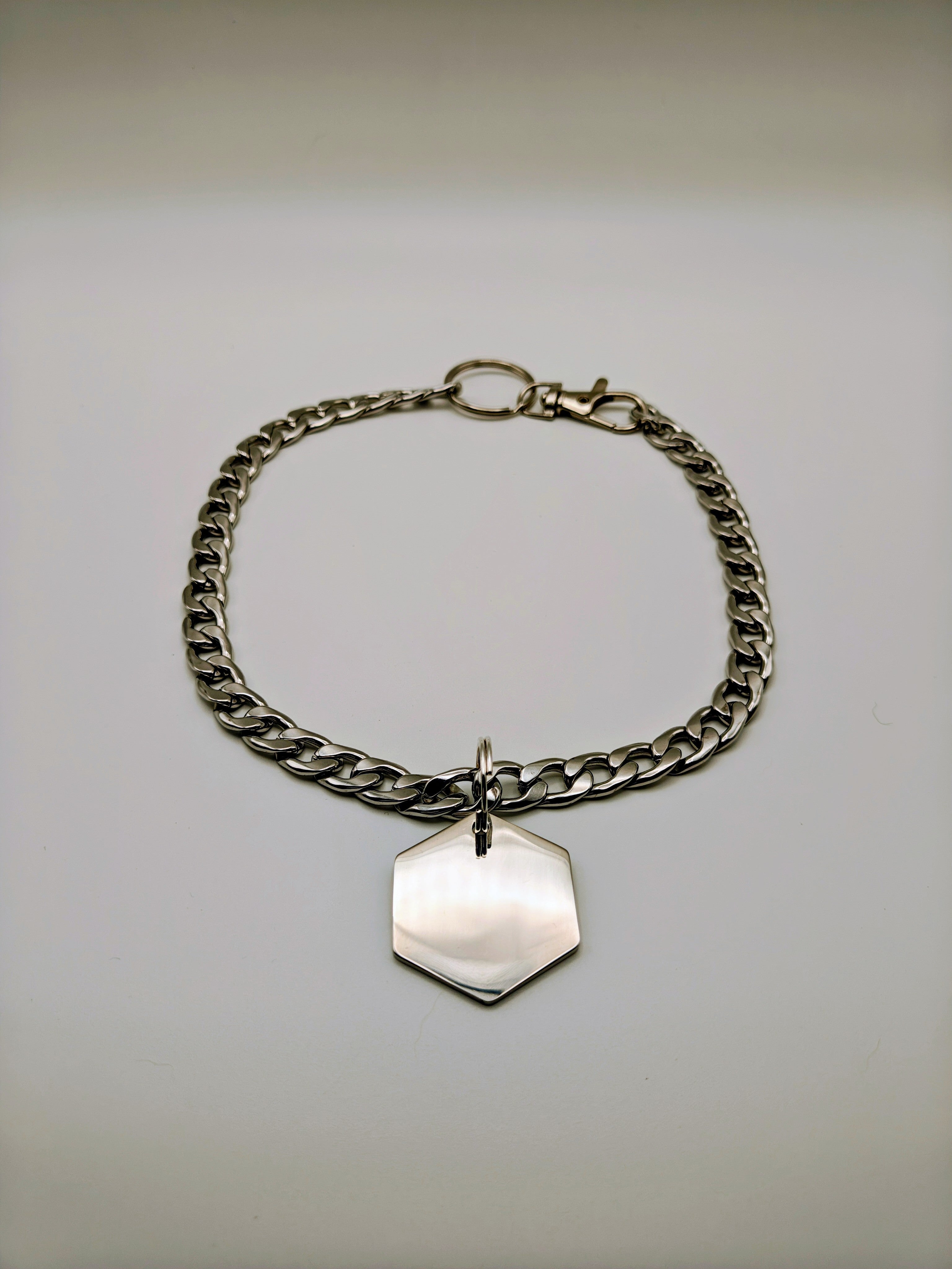 Custom Engraved Stainless Steel Pet Collar – Silver Chain and Tag