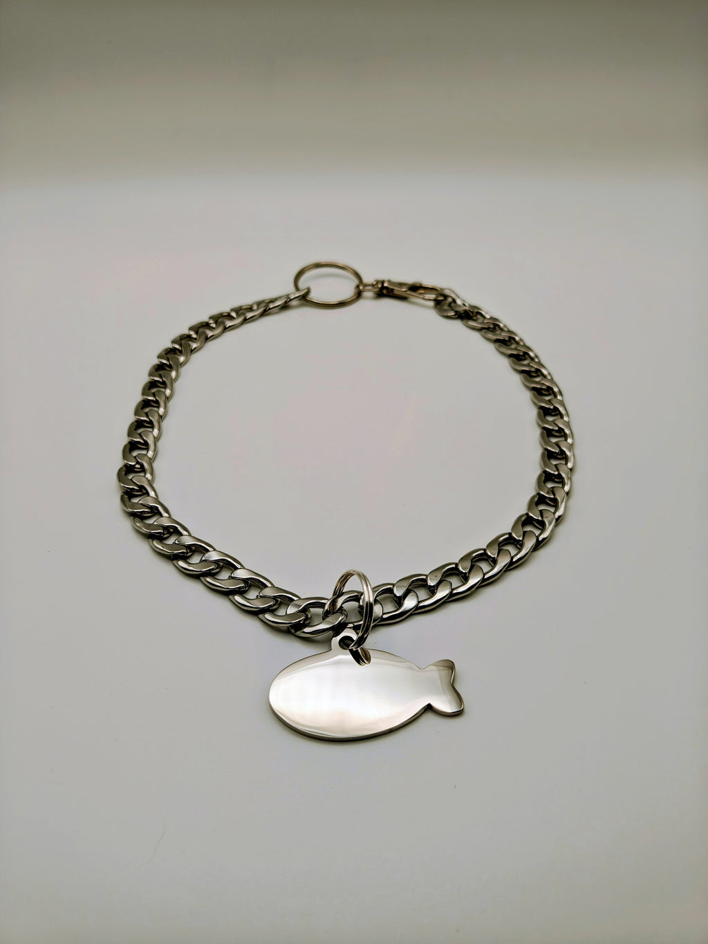 Custom Engraved Stainless Steel Pet Collar – Silver Chain and Tag