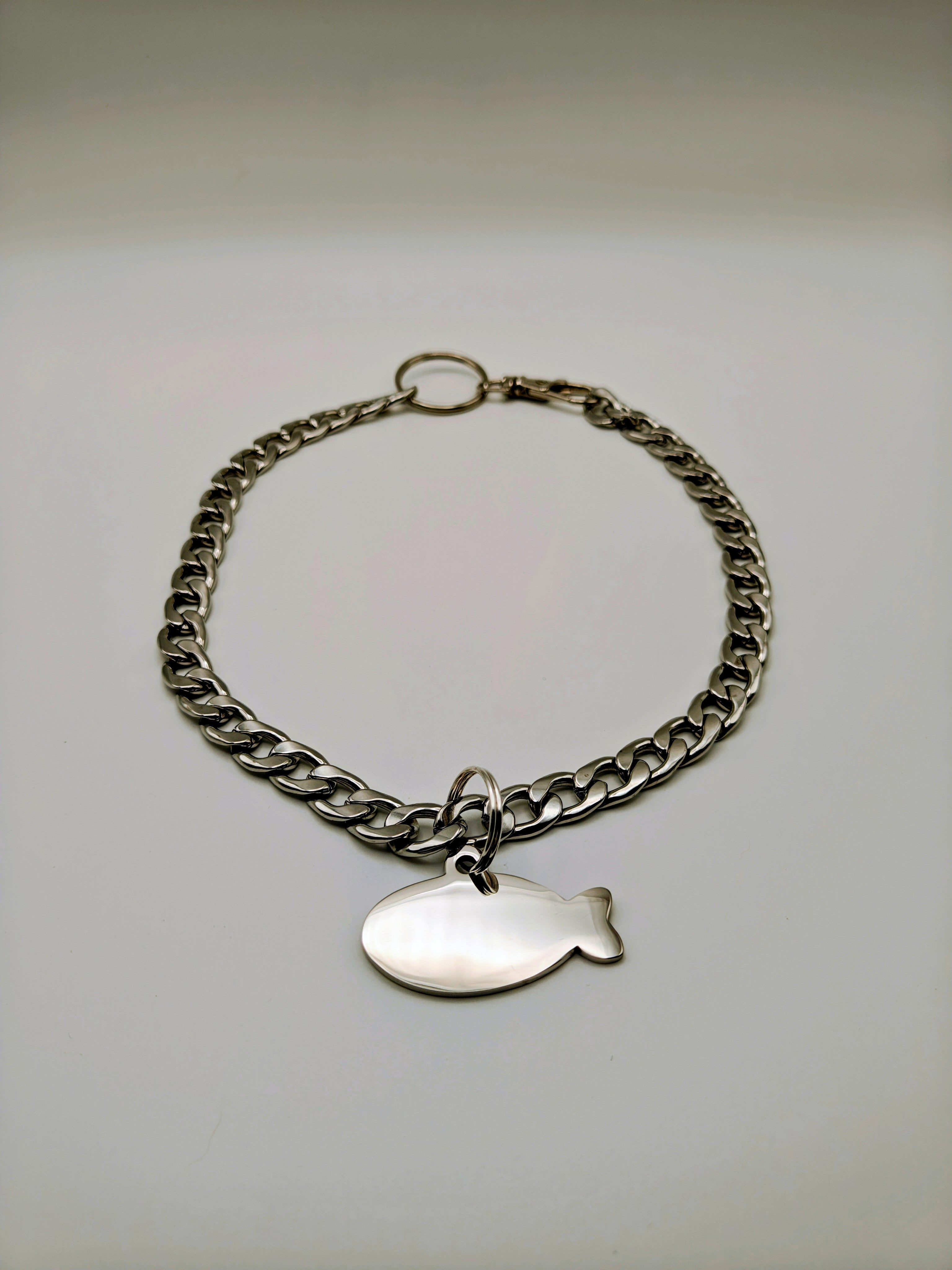 Custom Engraved Stainless Steel Dog Collar – Silver Chain and Tag