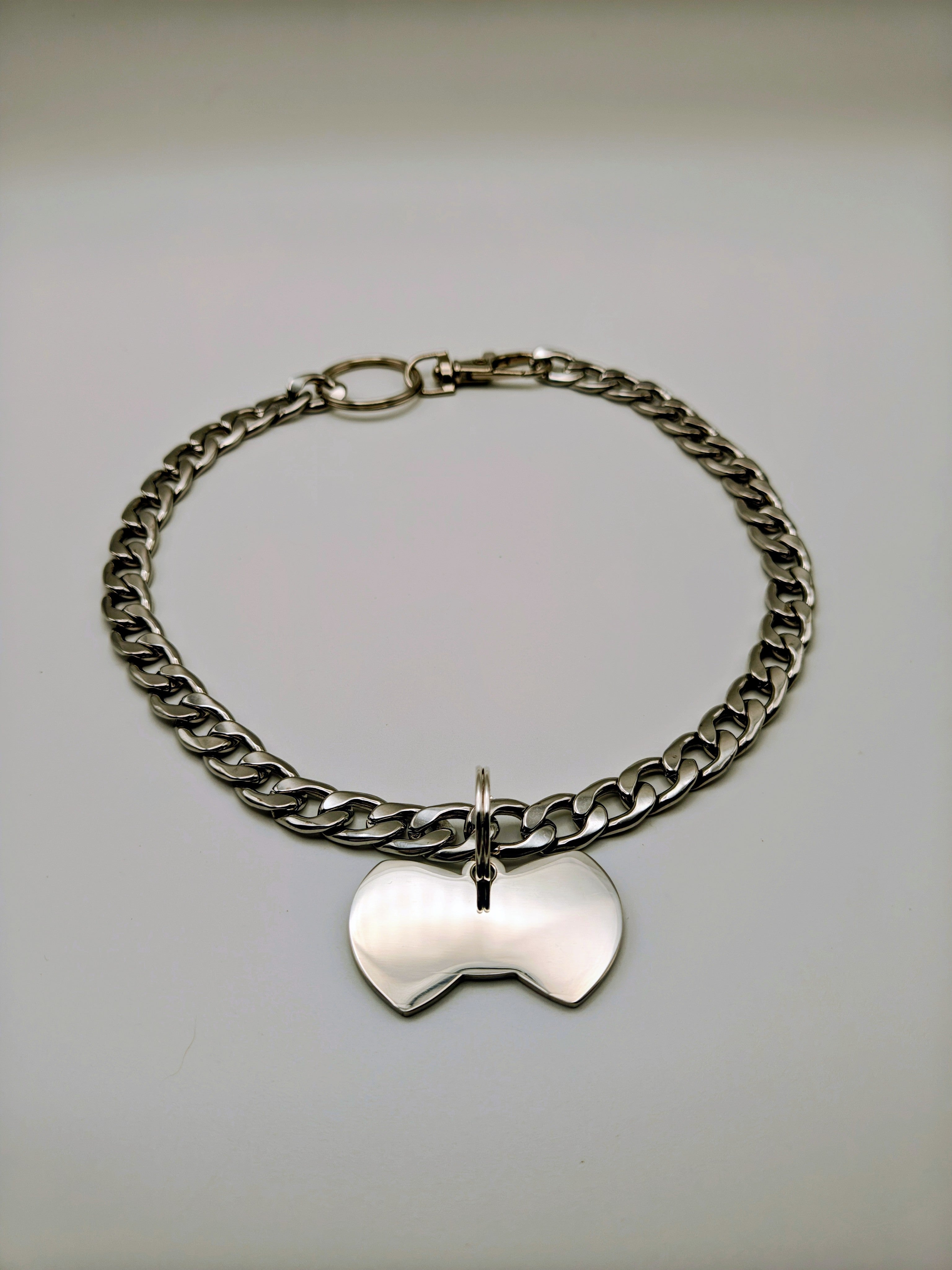 Custom Engraved Stainless Steel Pet Collar – Silver Chain and Tag