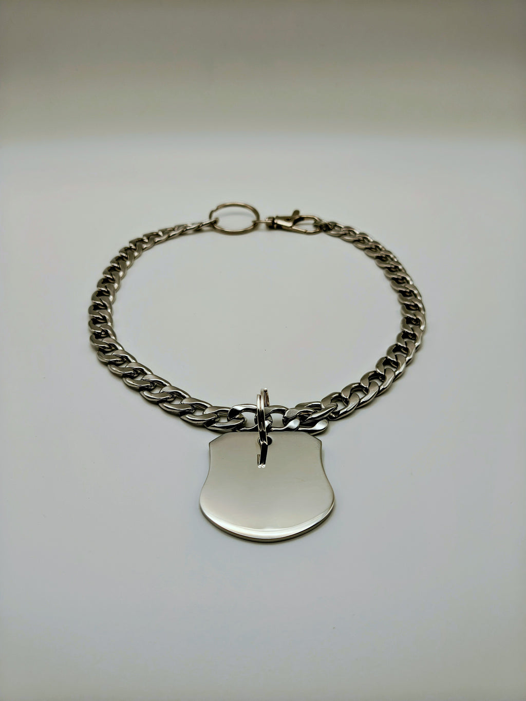 Custom Engraved Stainless Steel Pet Collar – Silver Chain and Tag