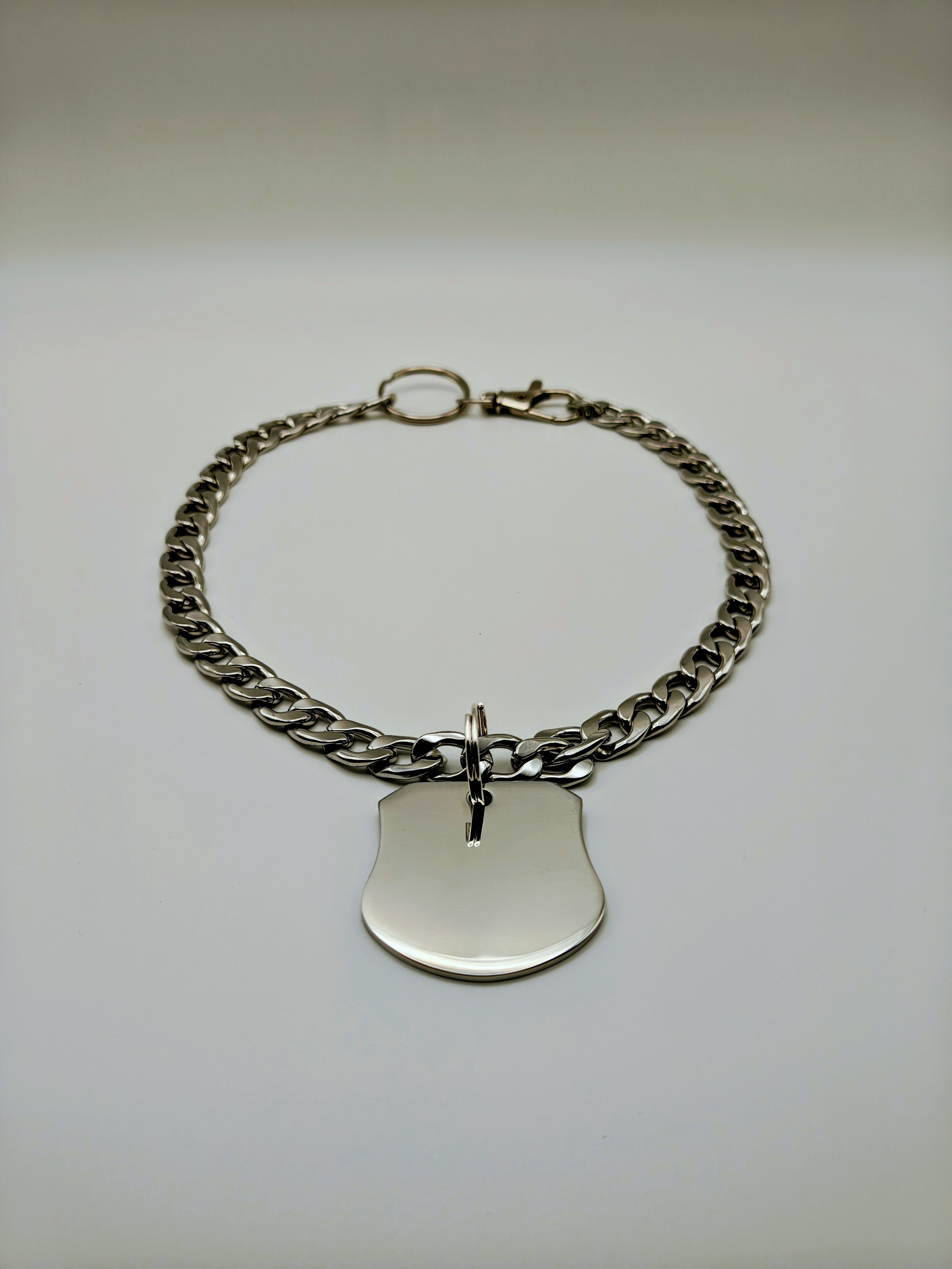 Custom Engraved Stainless Steel Pet Collar – Silver Chain and Tag