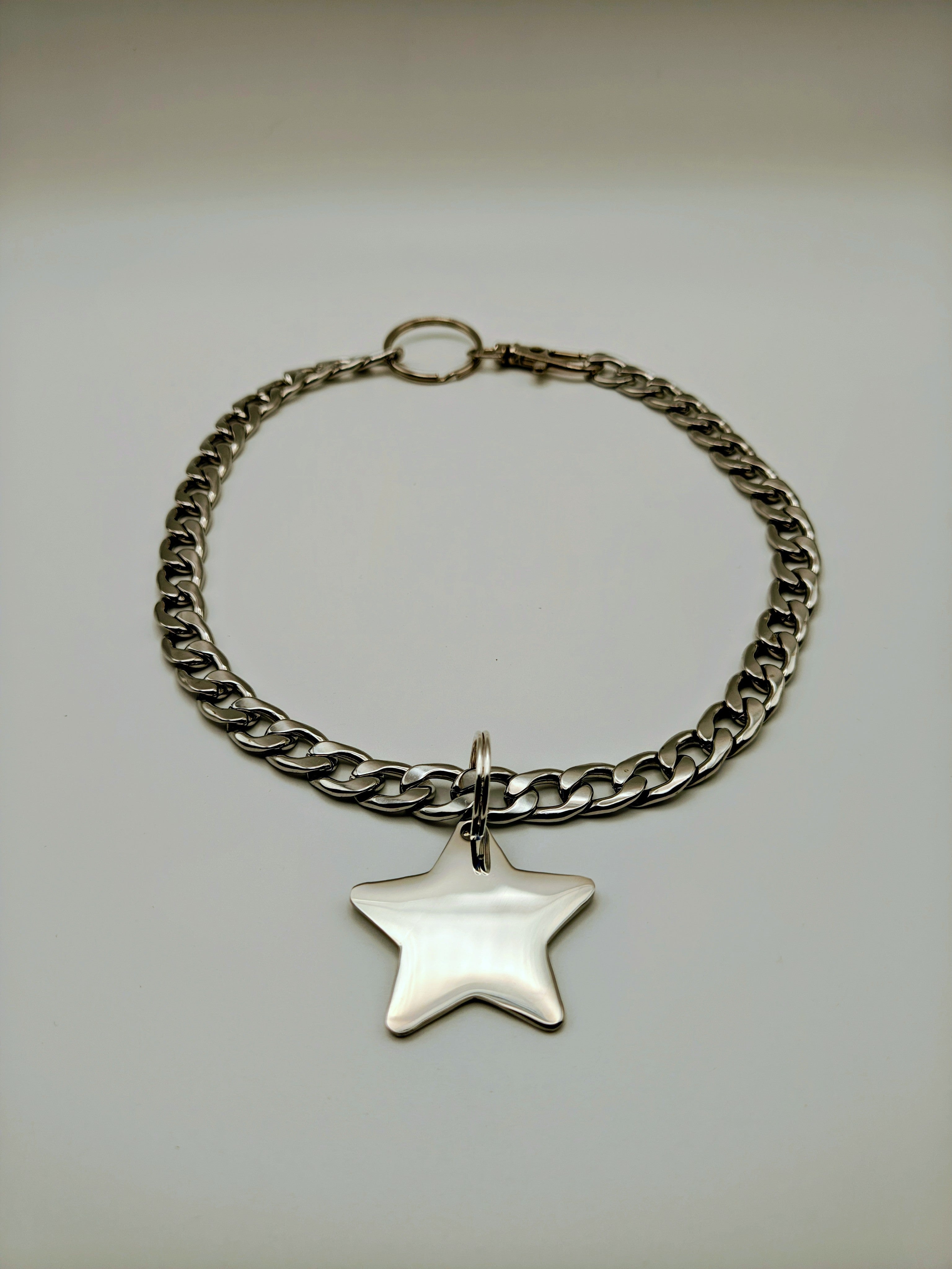 Custom Engraved Stainless Steel Pet Collar – Silver Chain and Tag
